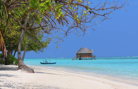 Chill på de hvide sandstrande på din rejse til Maldiverne