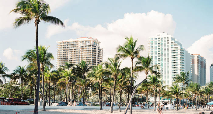 Miami med bygninger og palmetræer på stranden