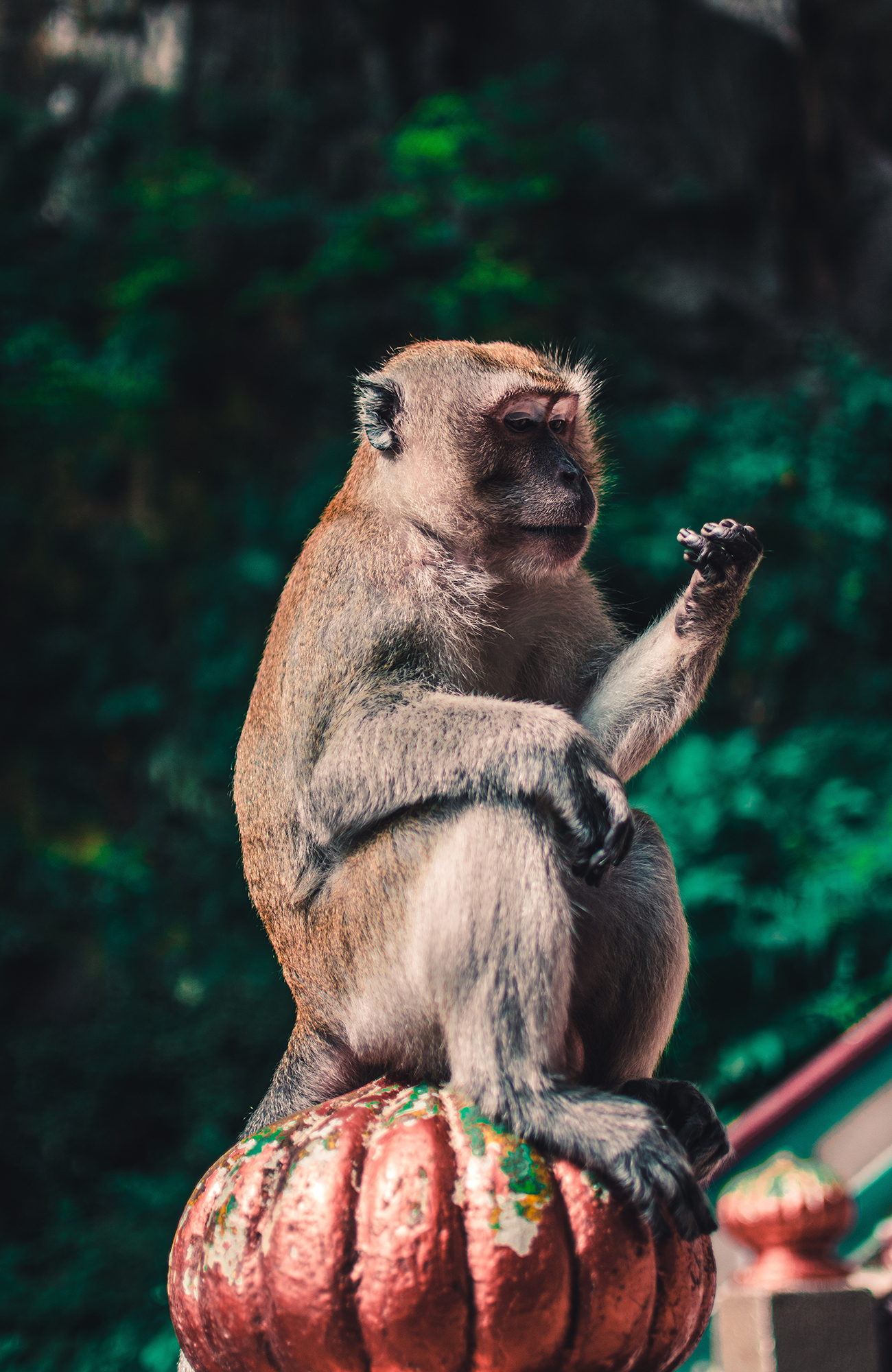 Rejser til Malaysia | Backpackning i Malaysia | KILROY