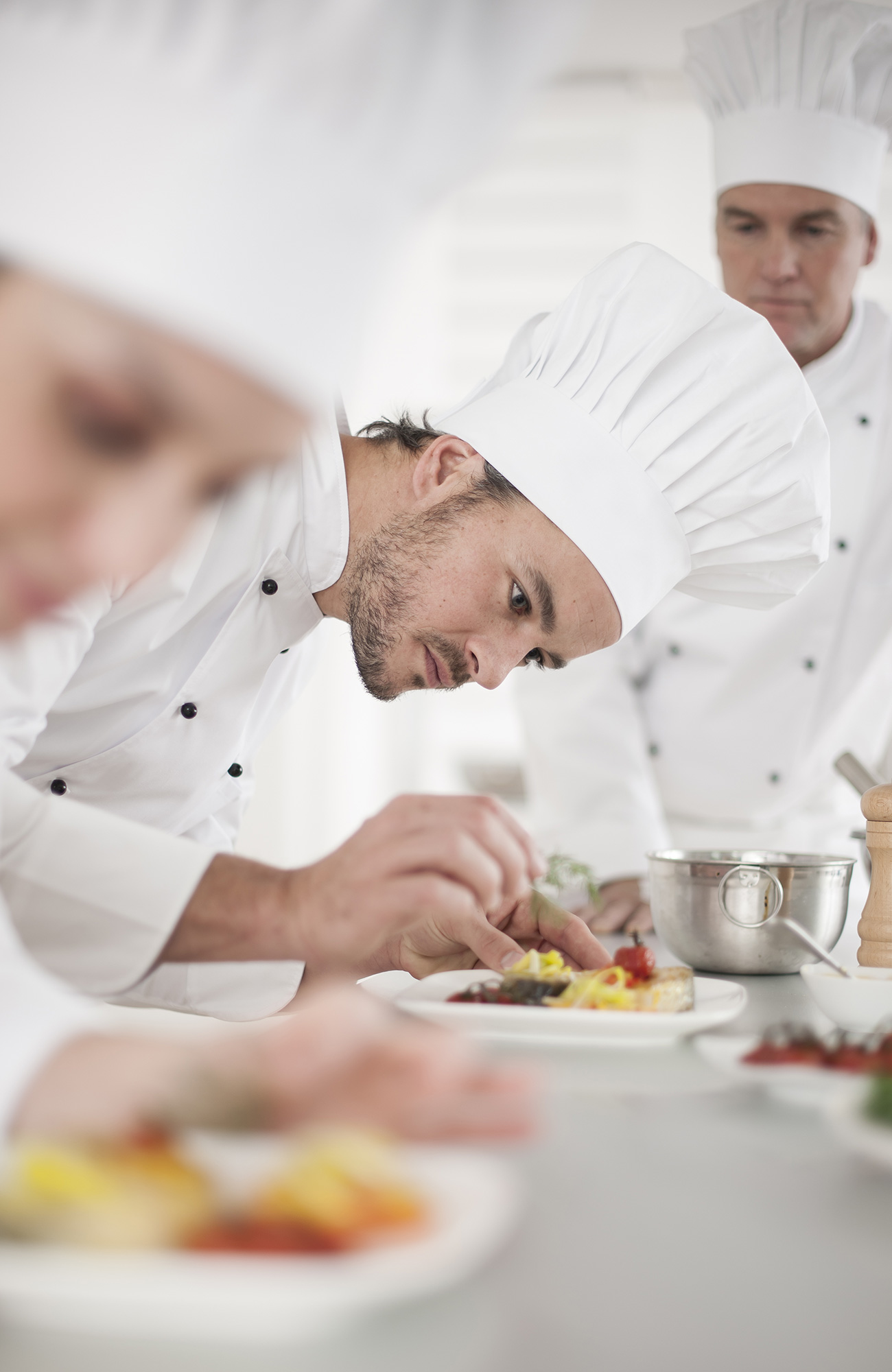 læs hotel og turisme i udlandet