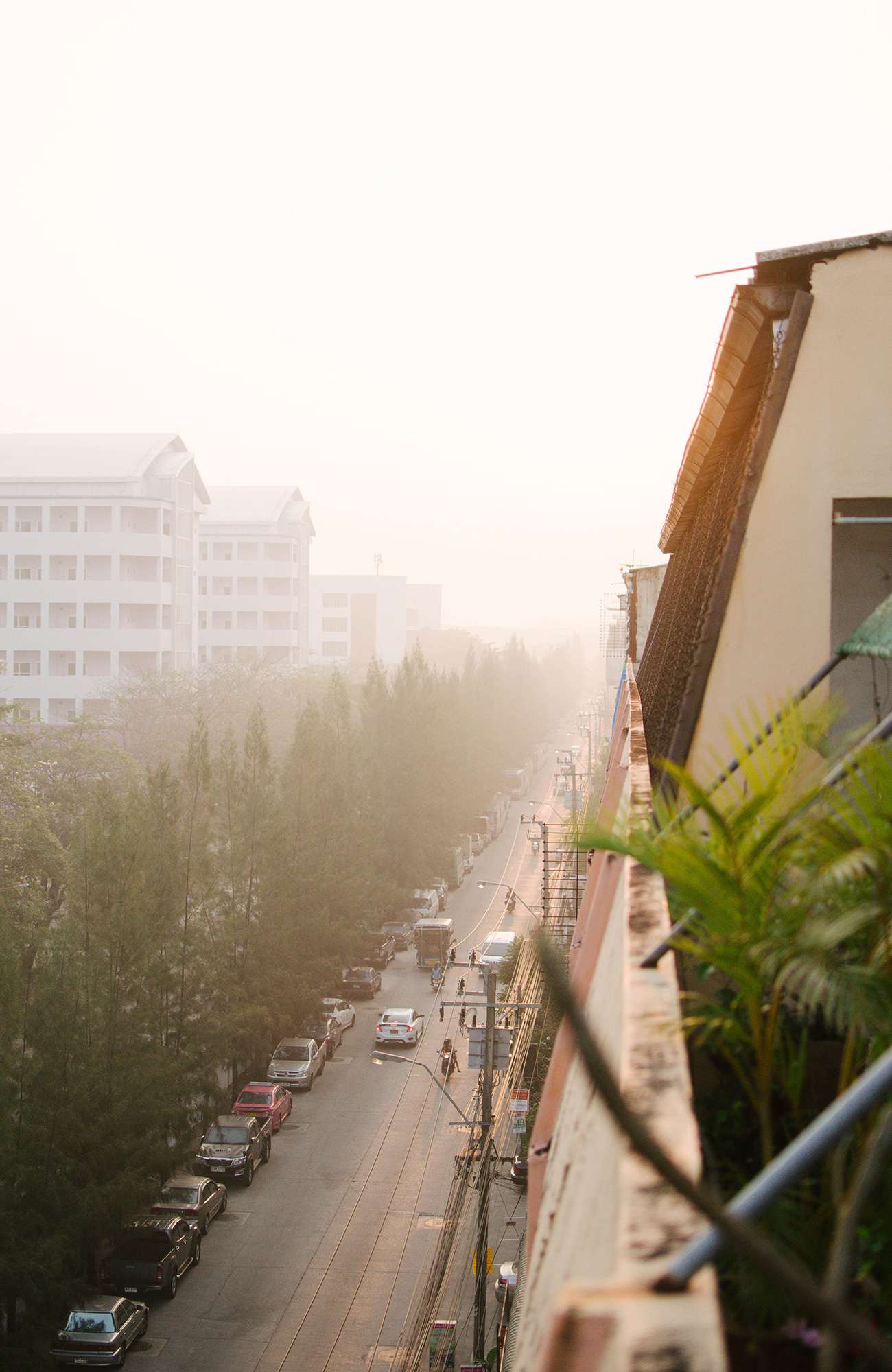 Cykelrejser i udlandet | cykelture i Asien