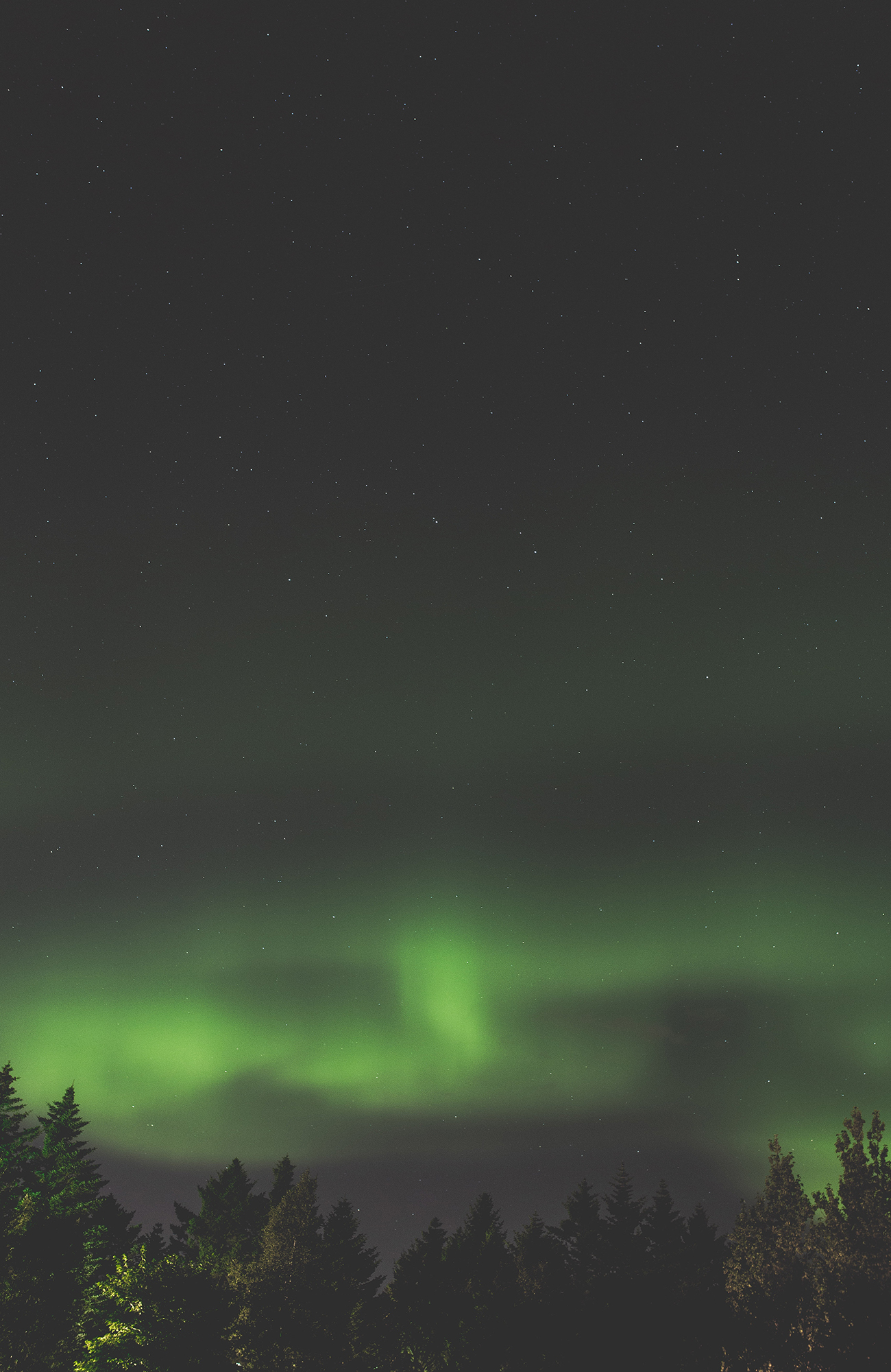 rundrejser i grupper i europa med andre unge 