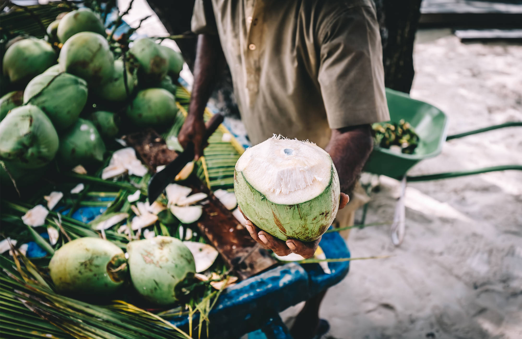 Drik lækre friske kokosnødder på din rejse til Maldiverne