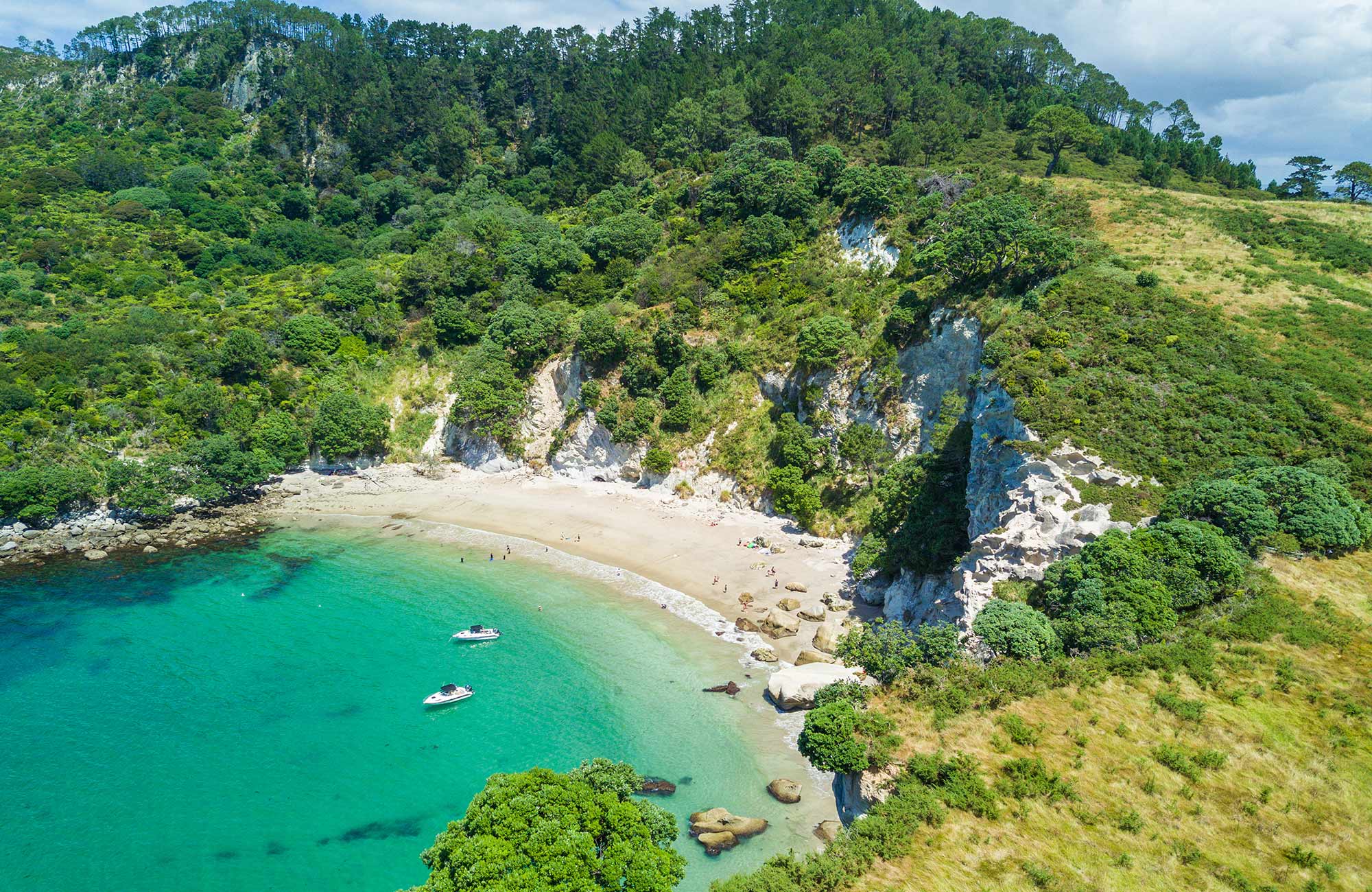 northern-island-new-zealand-coromandel-cover