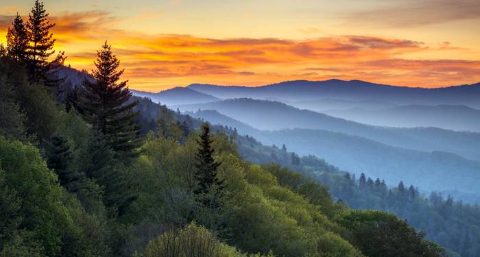 Great Smoky Mountains National Park | Road trip USA | Road trip gennem Sydstaterne | KILROY
