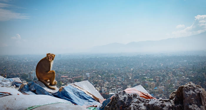 Rejser til Kathmandu | Rejser til Nepal