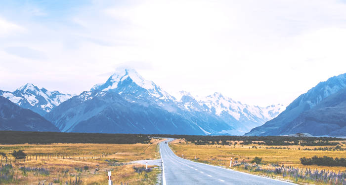 Oplevelser i New Zealand | Rejser til New Zealand