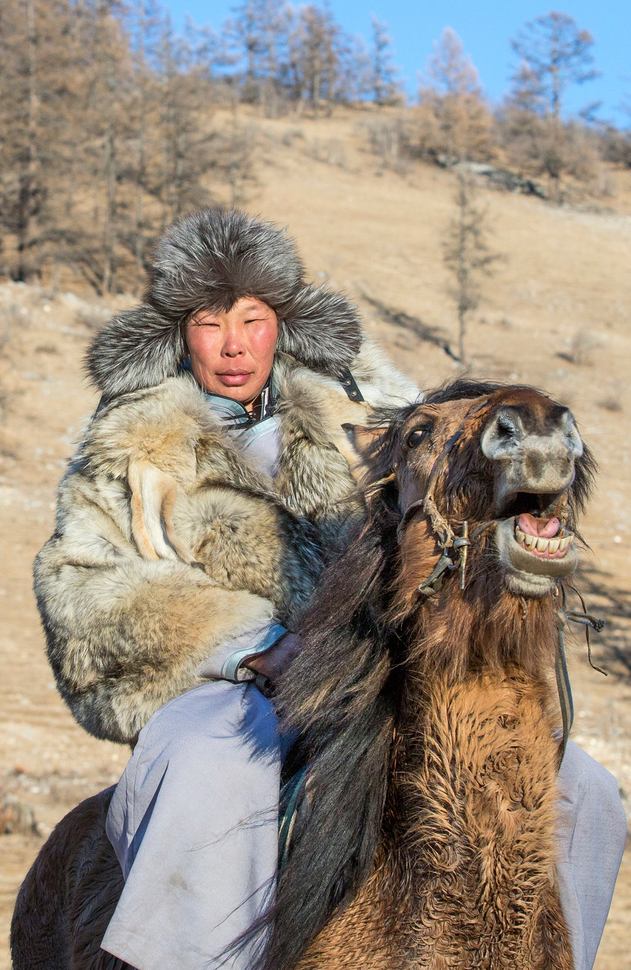 Rejser til Mongoliet | KILROY