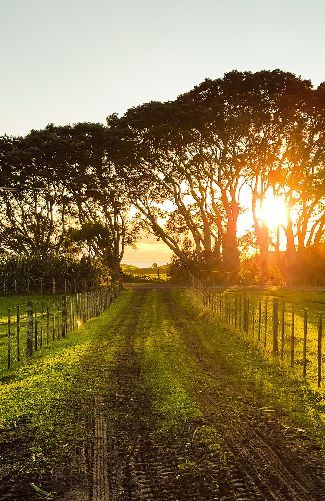 Wellington i New Zealand | KILROY
