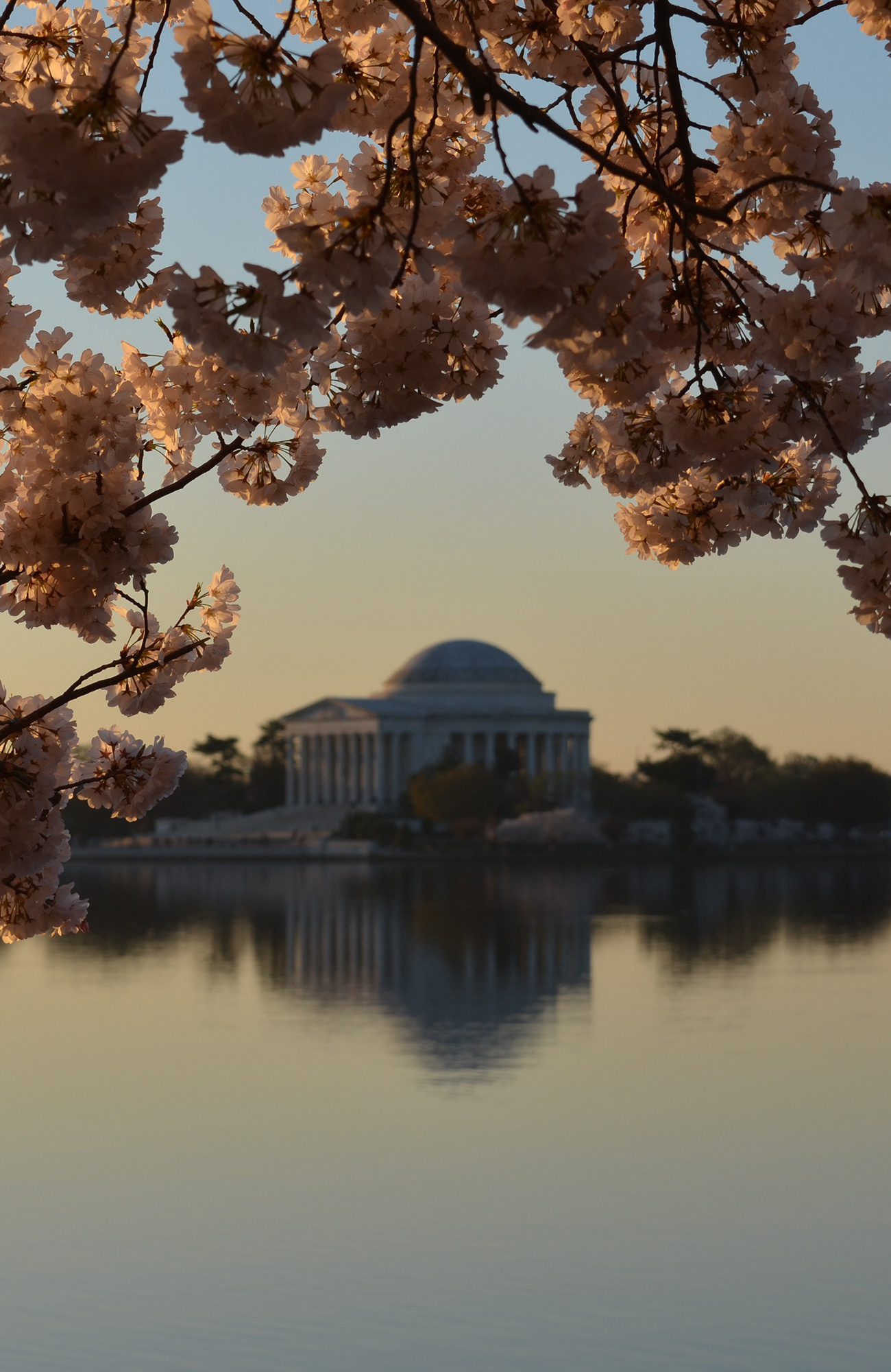 studierejse til washington dc