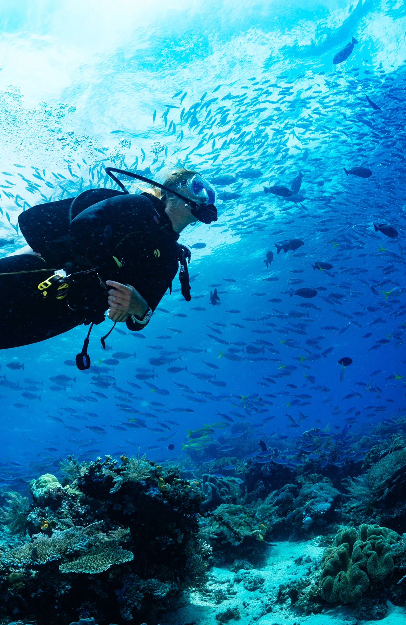 Dykning i Mellemamerika | Dykkercertifikat i Mellemamerika | KILROY