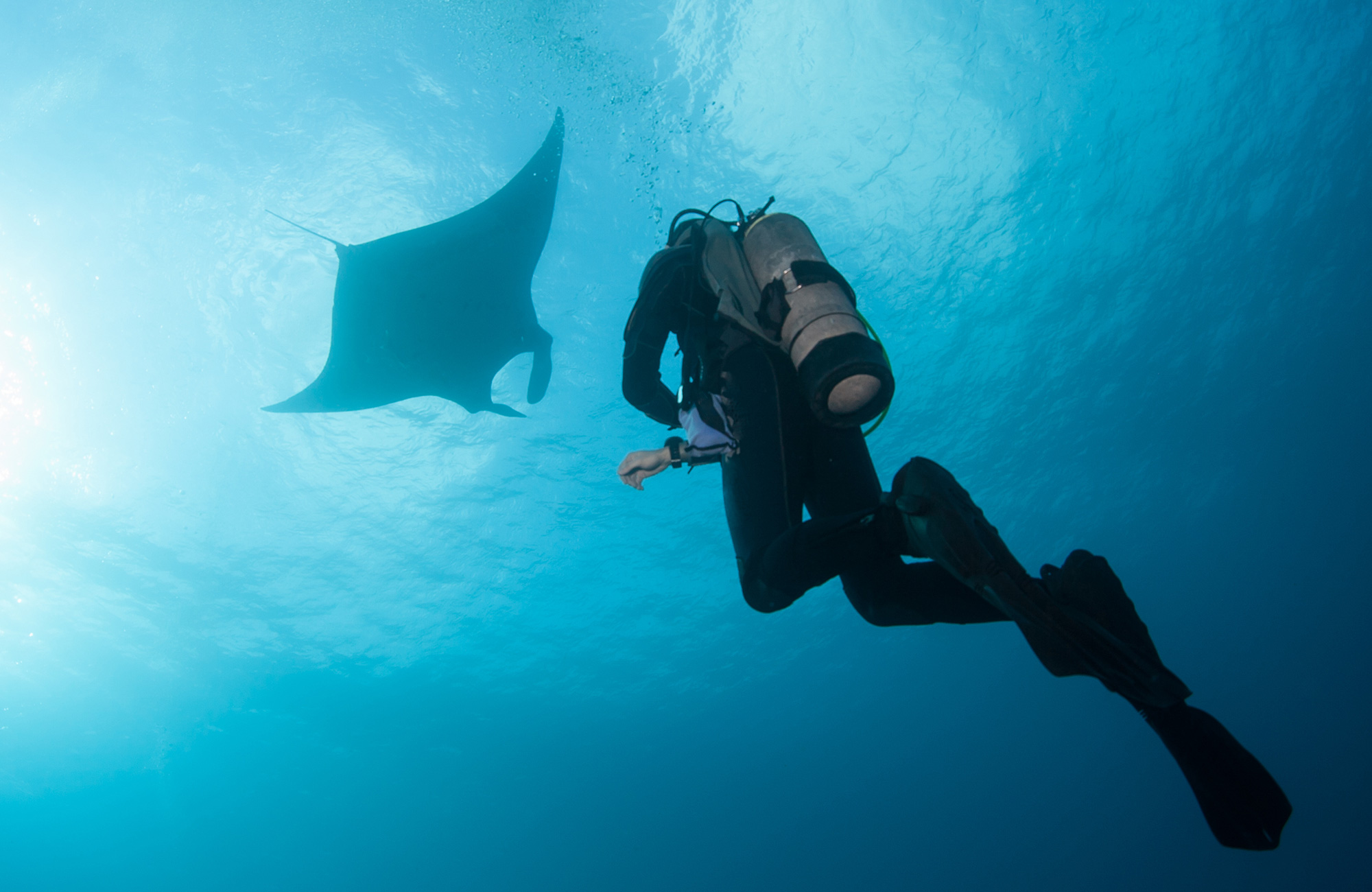 Dykning på Yasawa Islands