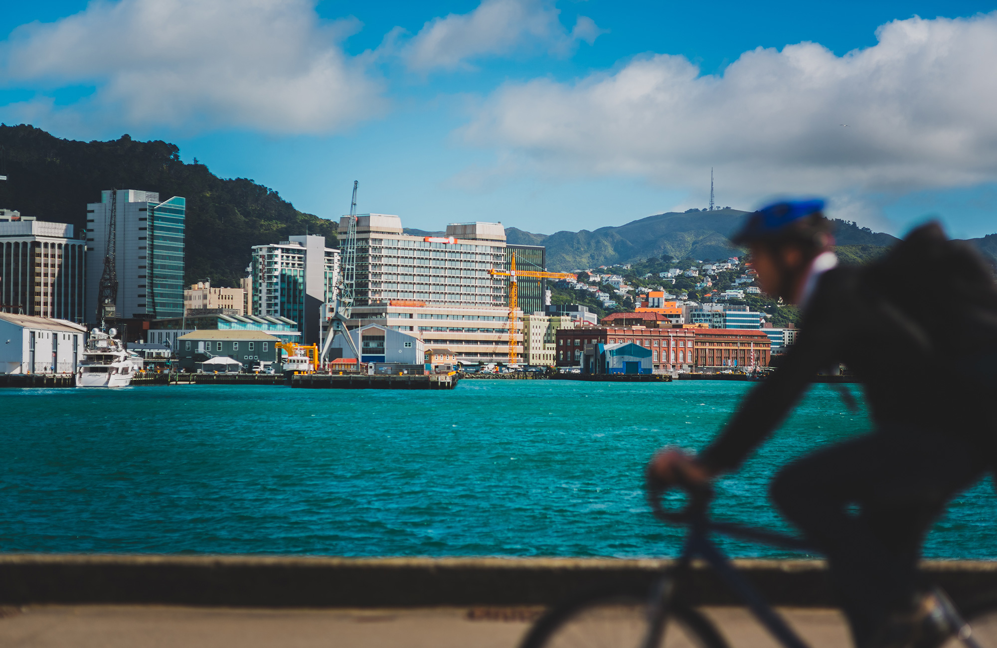 en mandlig studerende cykler i Wellington
