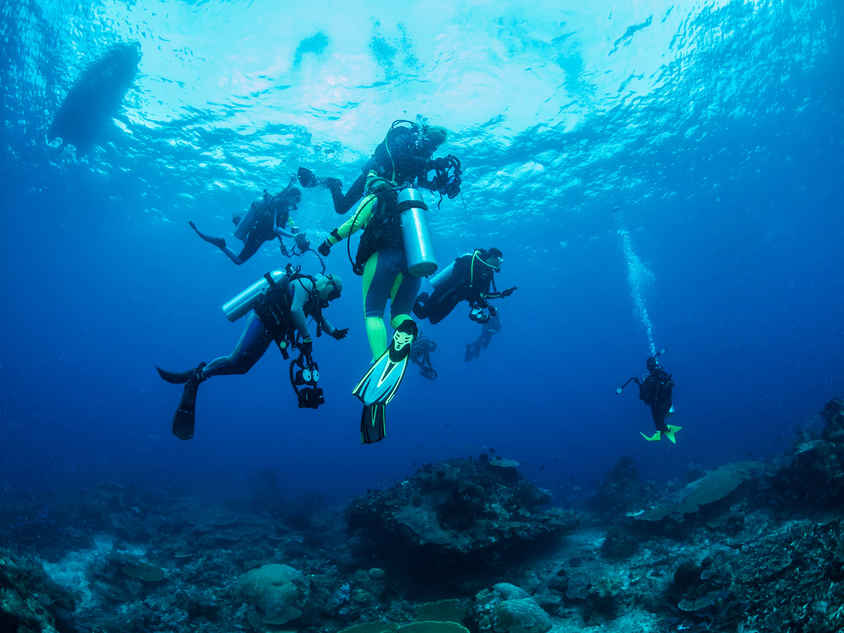 Dykning i Sydafrika | Tag dit dykkercertifikat i Sydafrika