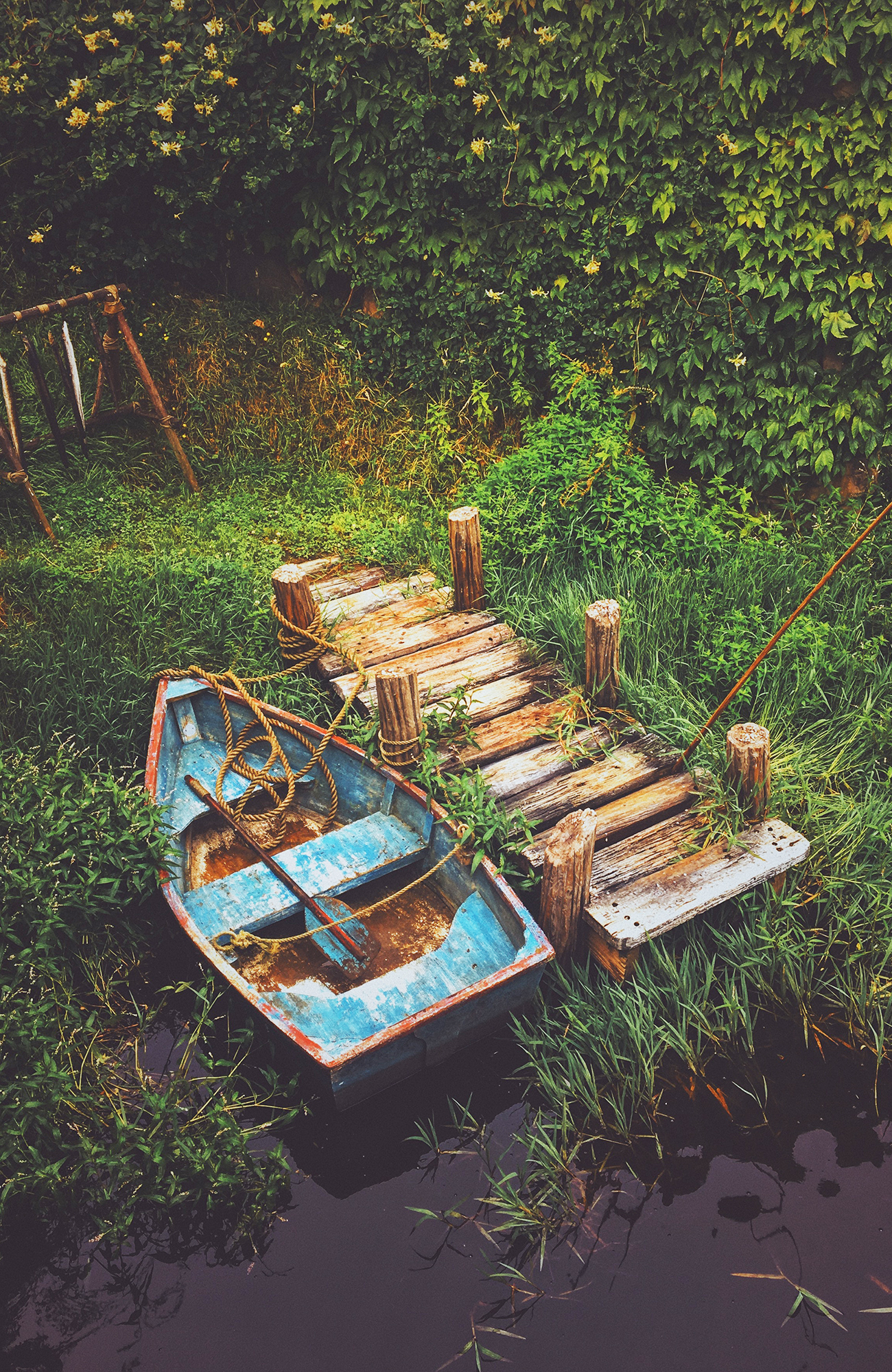 Rotorua i New Zealand | KILROY