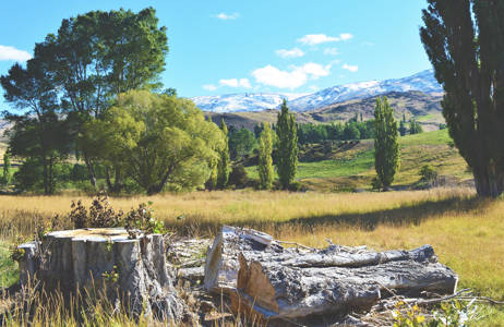 southern-island-central-otago-new-zealand-cover