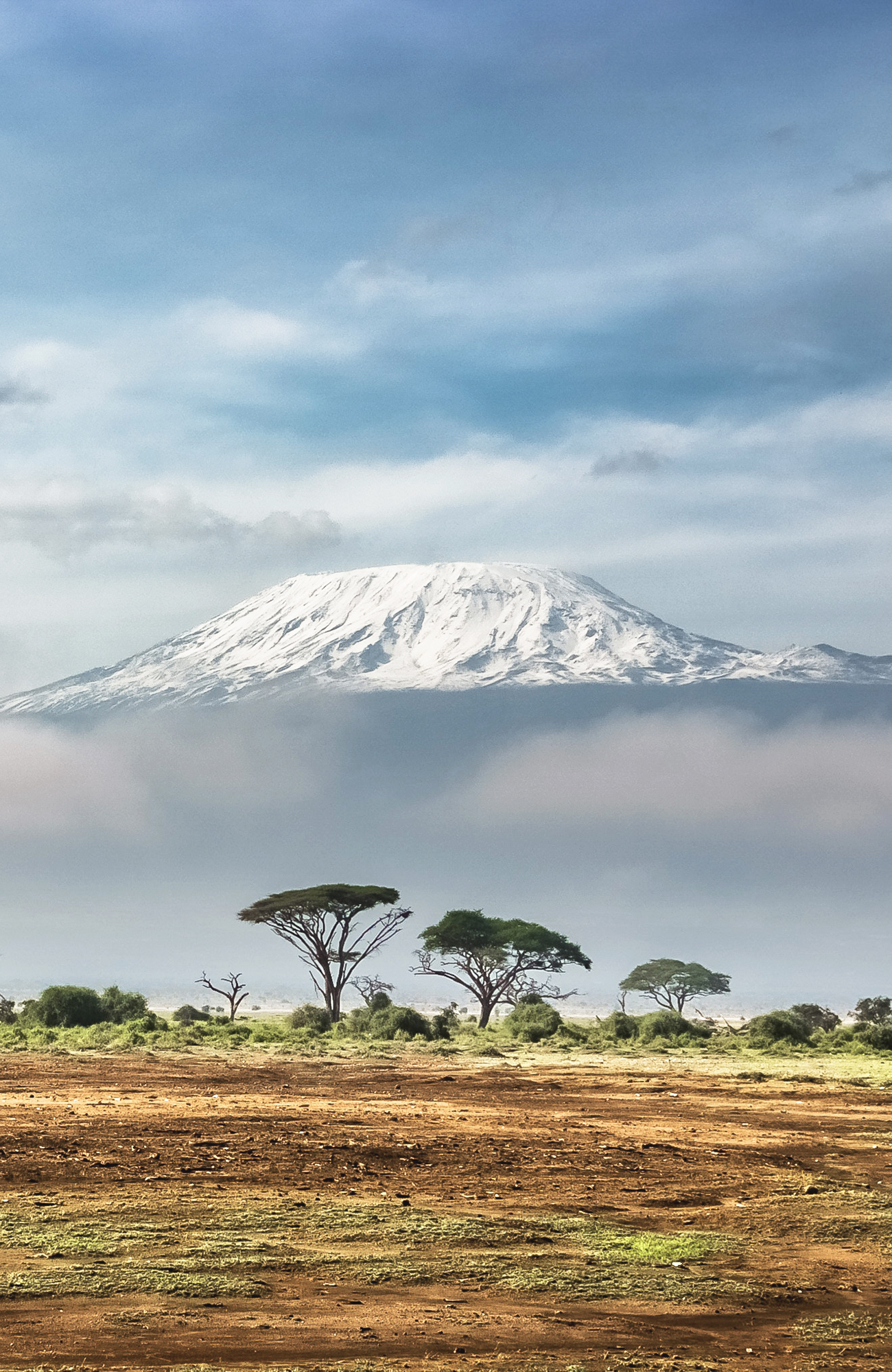 kilroy travel kilimanjaro