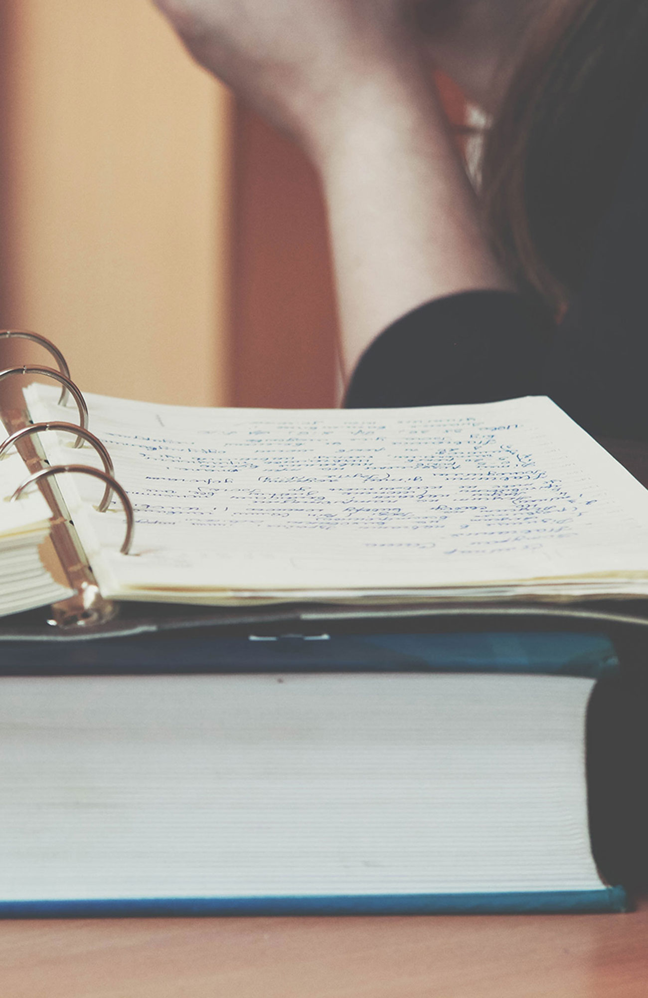 læs engelsk i udlandet 