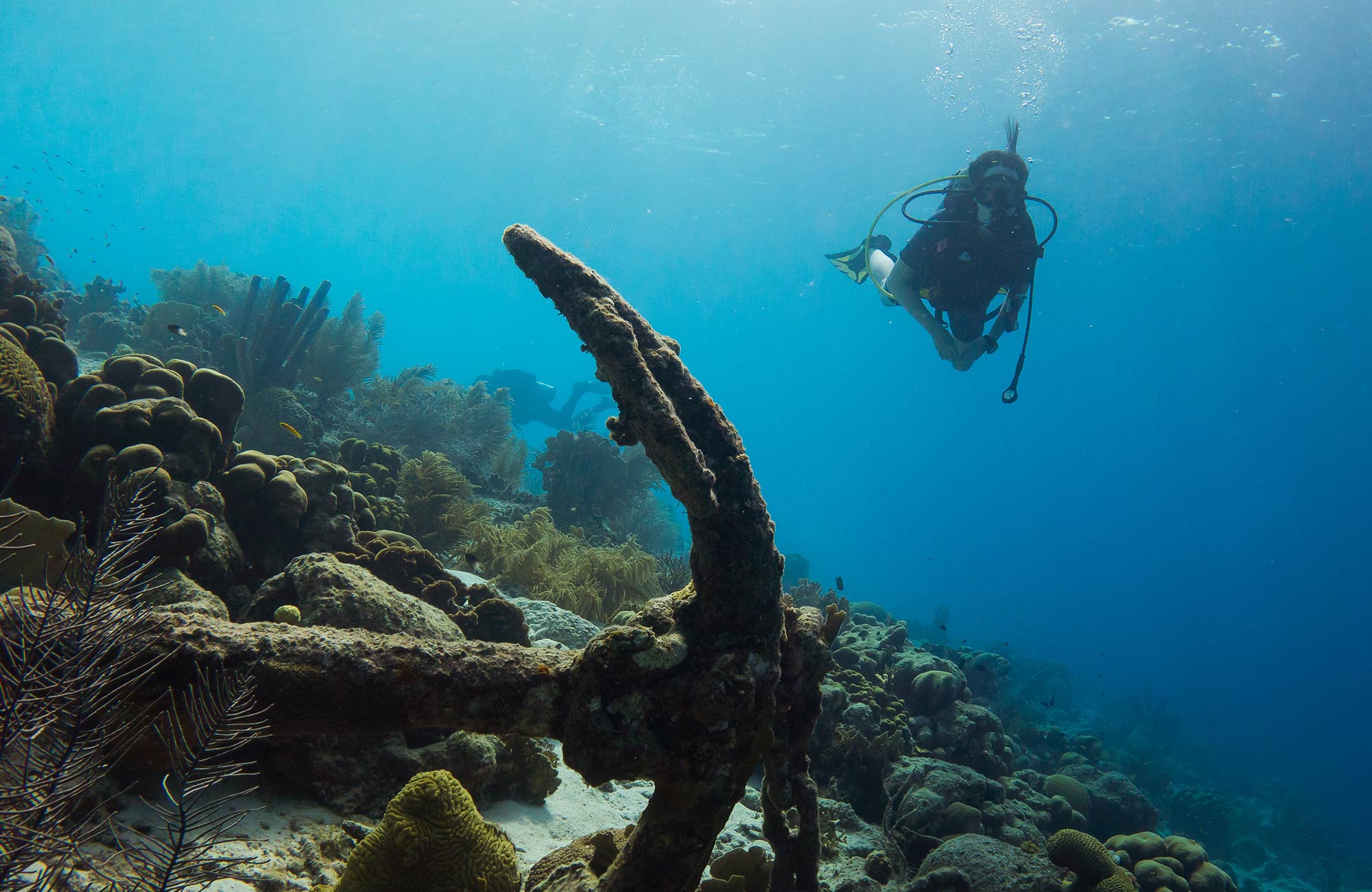 Dykning på Bali | Lær at dykke på Bali