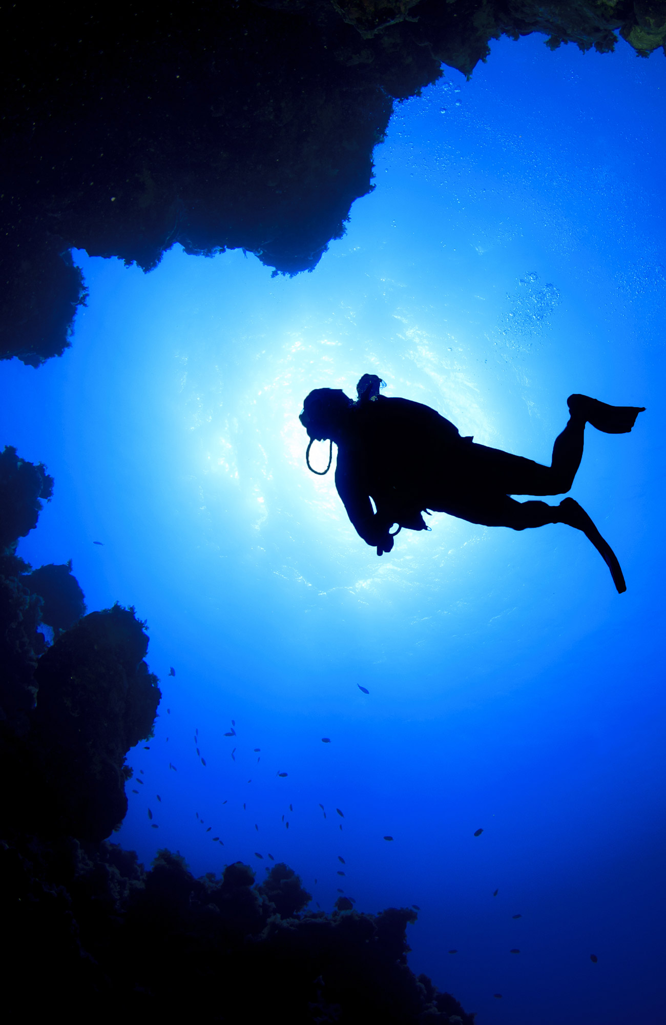 Dykning i Egypten | Dykkercertifikat i Egypten