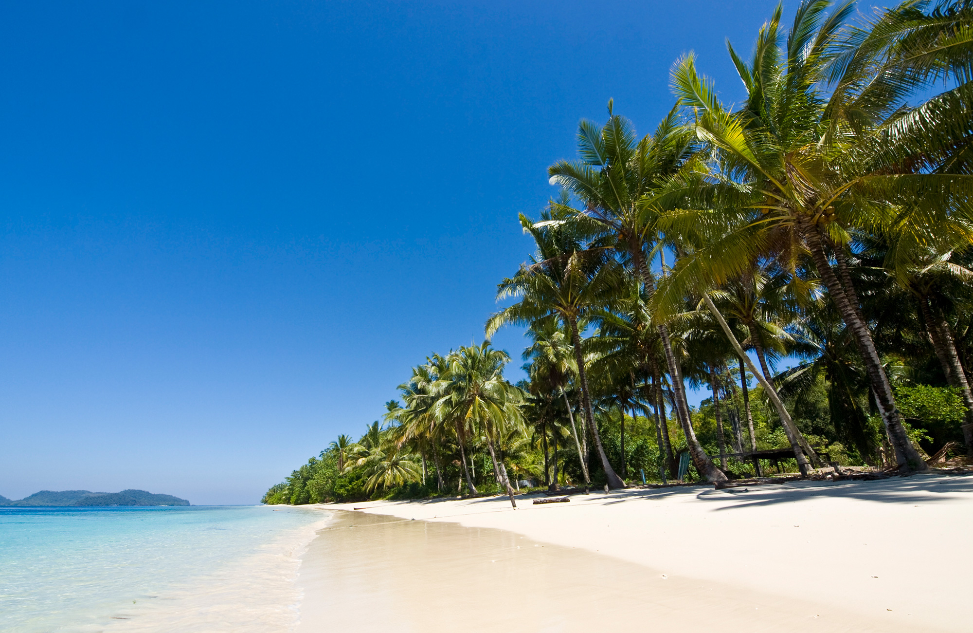 Rejser til Sumatra | Backpacking i Indonesien | KILROY