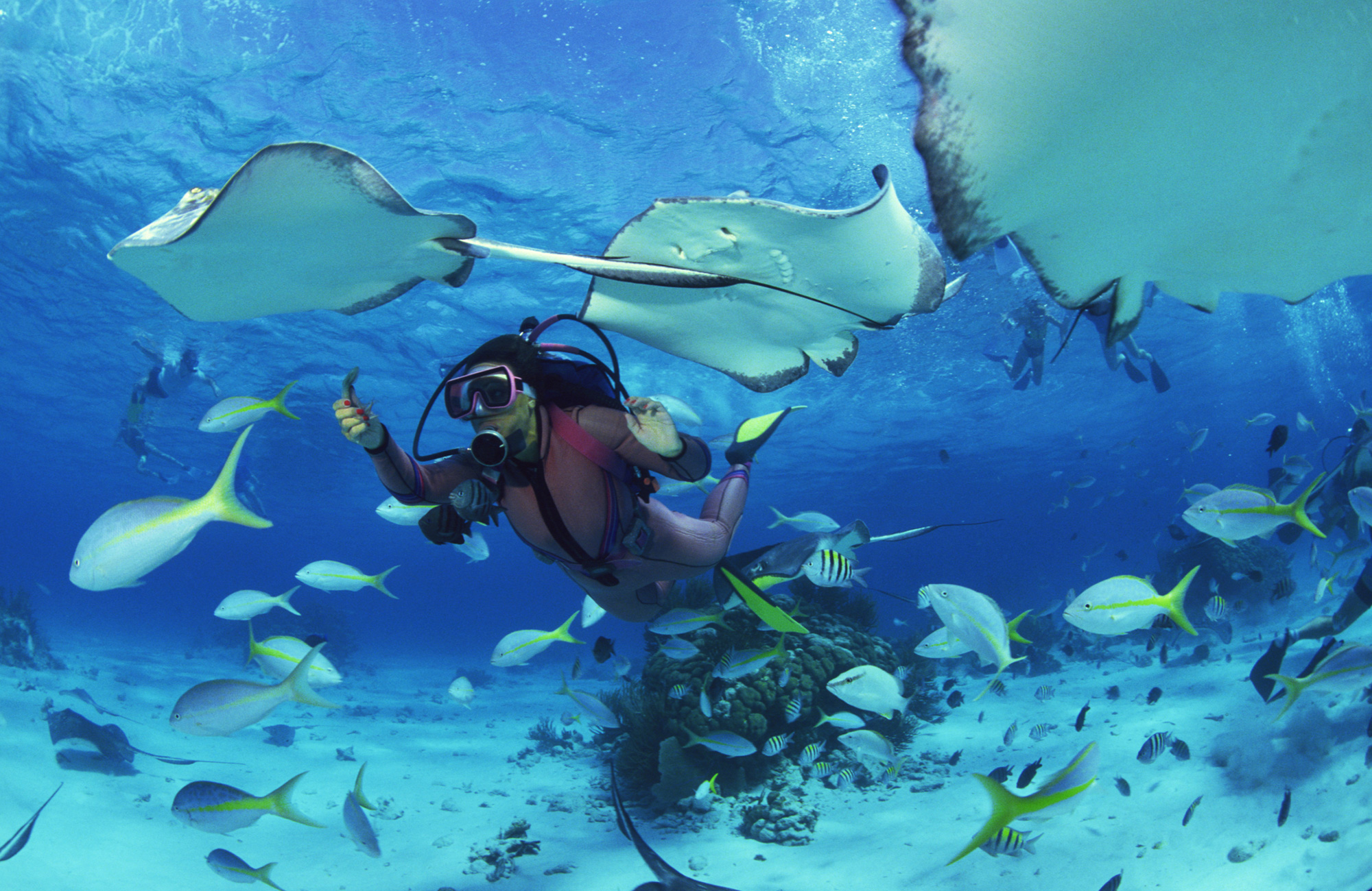 Dykning i udlandet | Dykkercertifikat i udlandet | KILROY