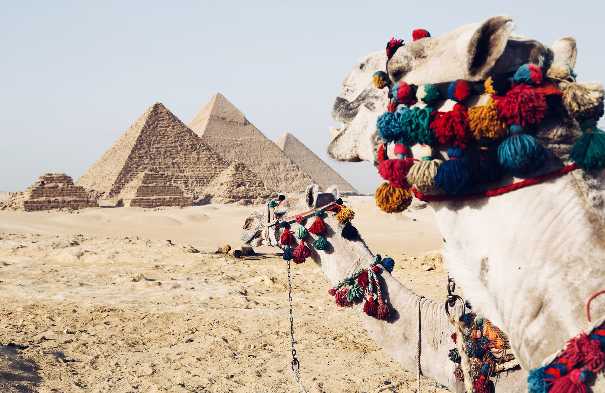 Se pyramiderne på studieturen til Egypten