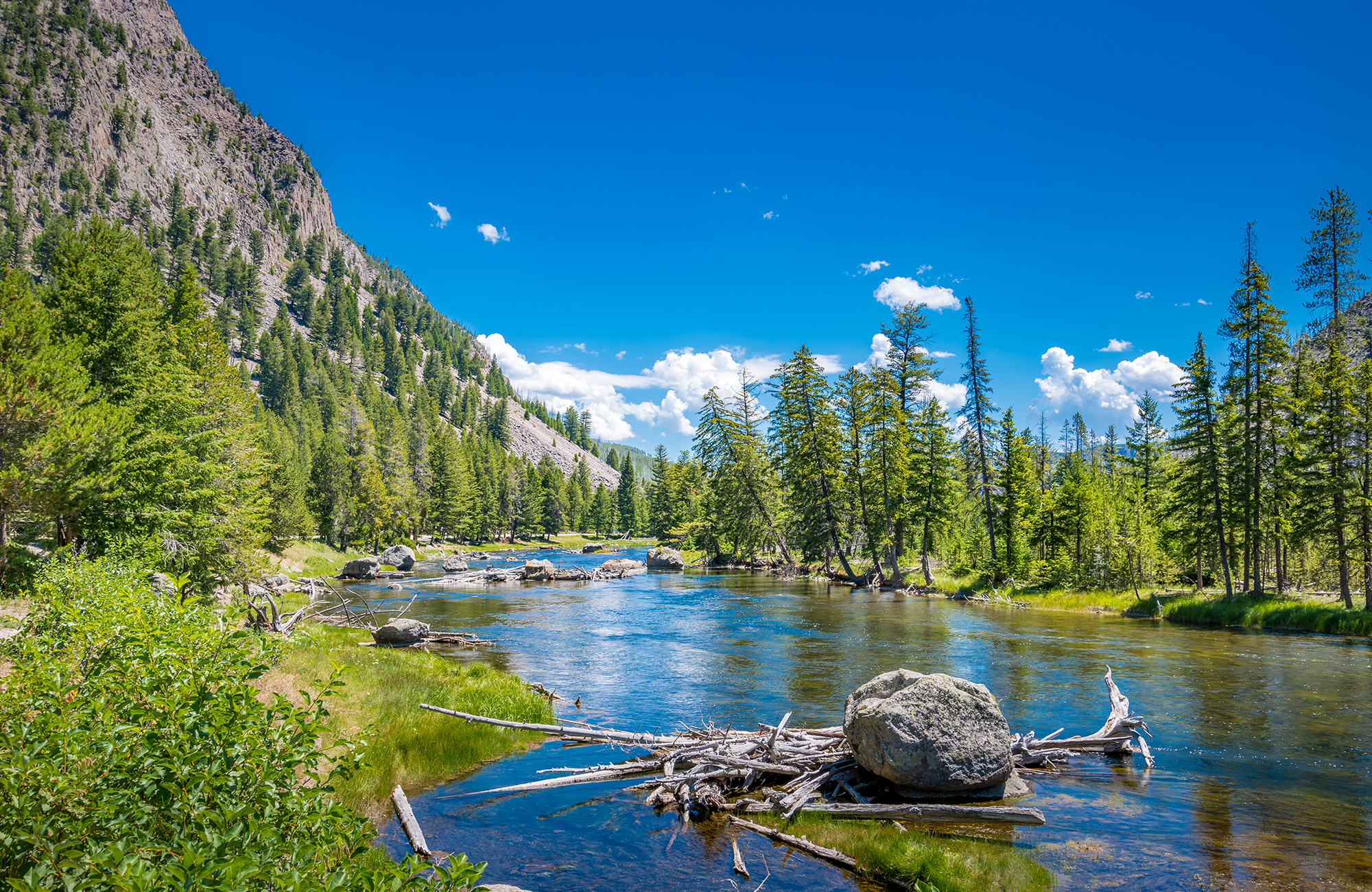 yellowstone-national-park-madison-river-viewpoint-cover