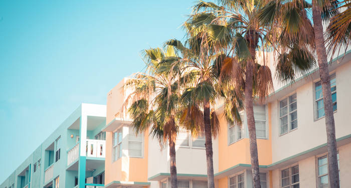 Smukke farverige huse og palmetræer i Miami Florida | Road Trip i Florida | KILROY