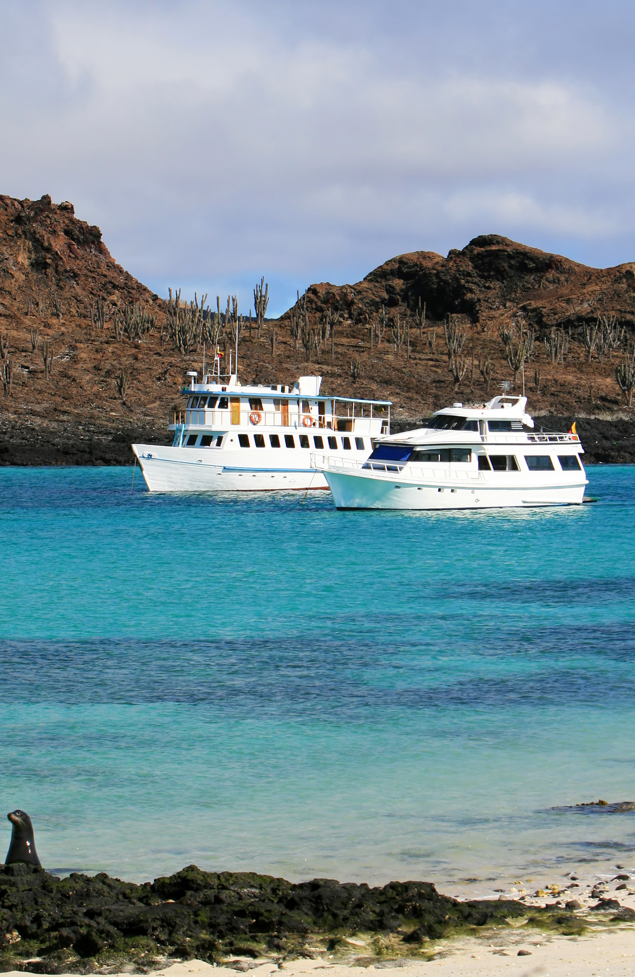 Sejlads i Ecuador | Sejlture til Galapagos | KILROY