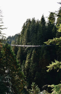 vancouver-canada-capilano-suspension-bridge-from-distance-sidebar