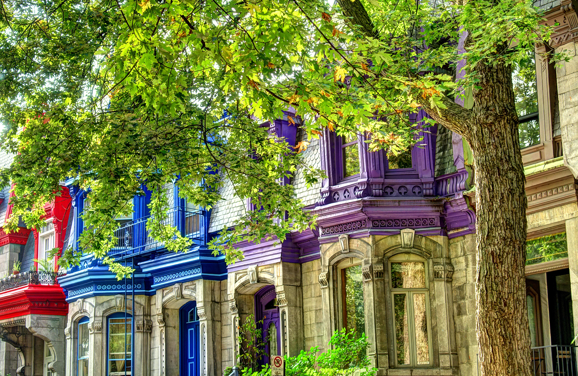 Plateau Mont Royal i Montreal i Canada