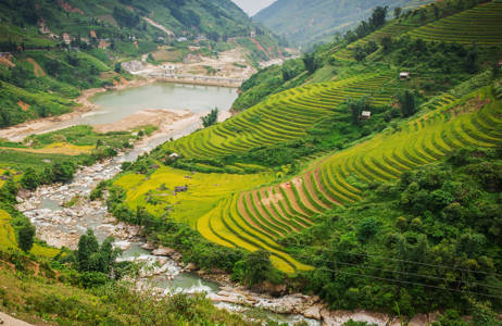 Oplev de smukke rismarker på din rejse til vietnam