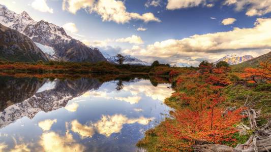 argentina-patagonia-valle-de-chalten-fall-foliage-cover
