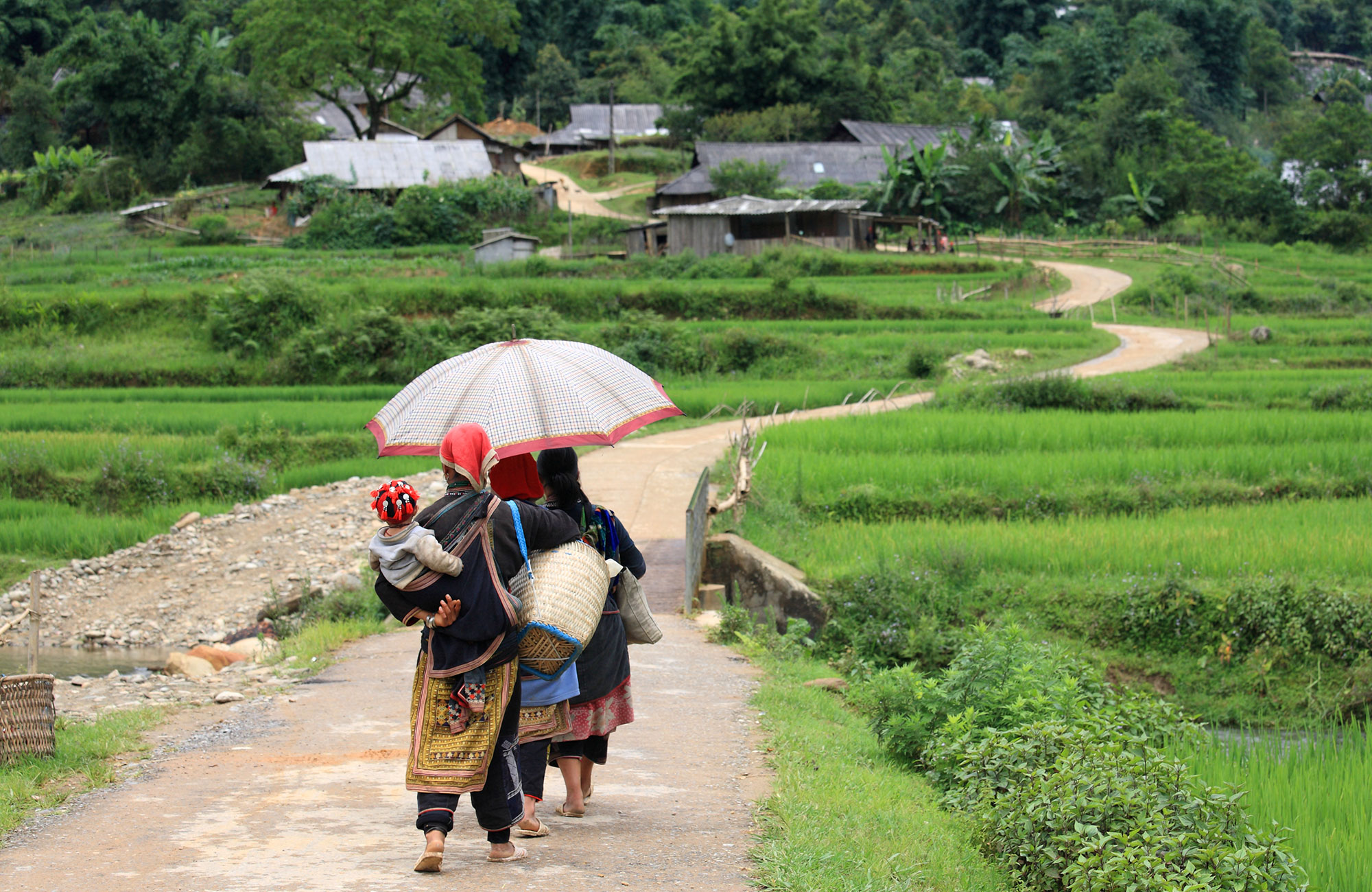 Trekking i Vietnam | Trekking i Sapa | KILROY