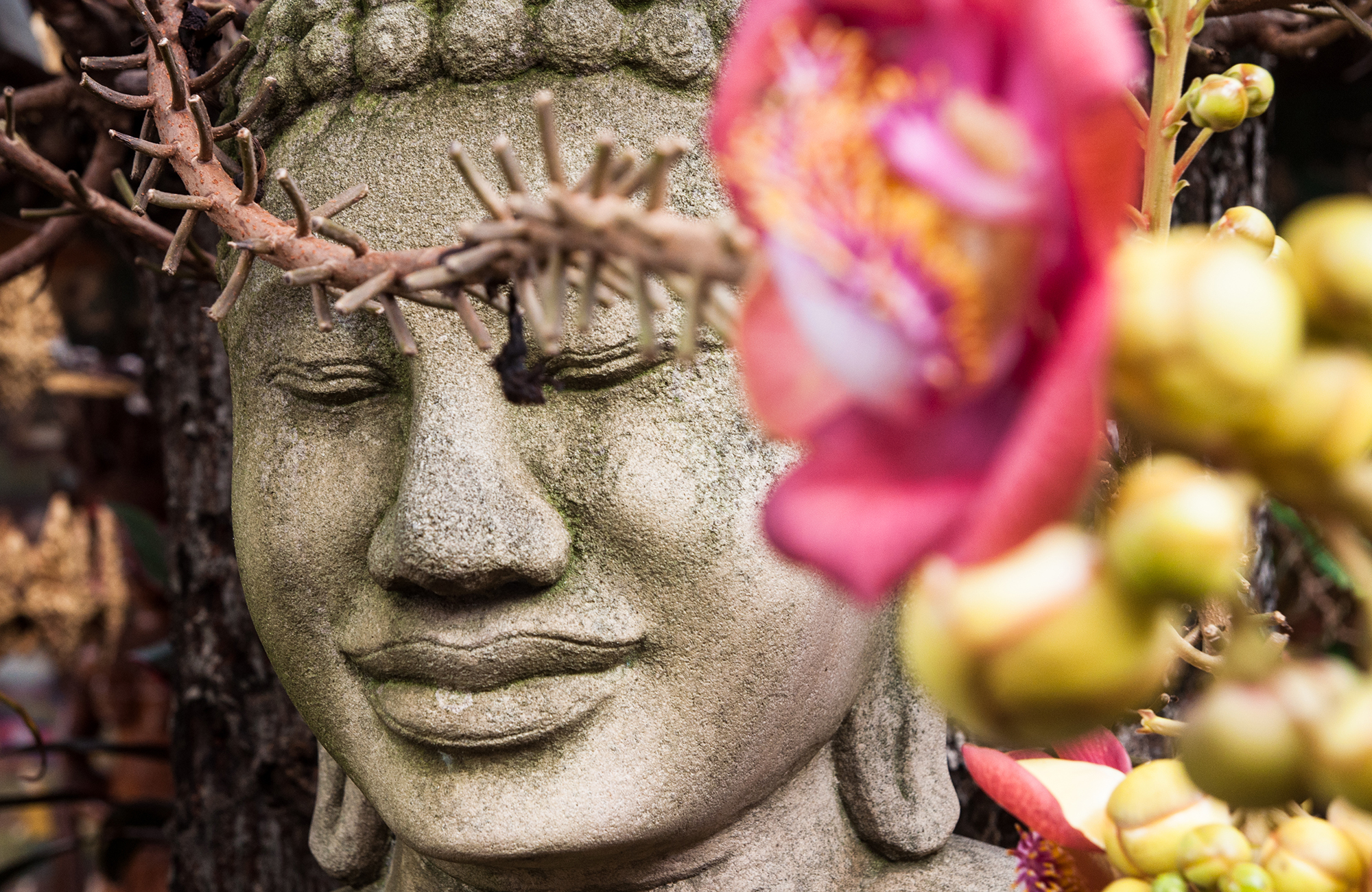 Rejser til Phnom Penh | Backpacking i Cambodia | KILROY