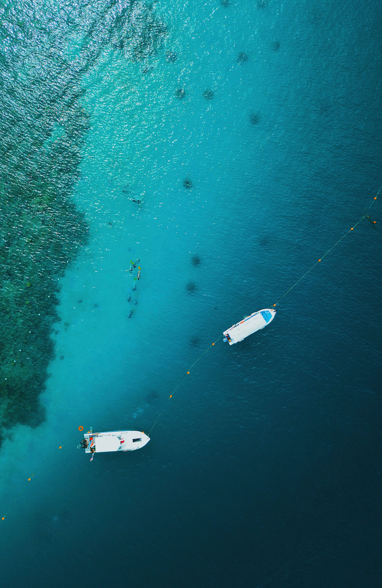 Rejser til Borneo | Backpacking på Borneo | KILROY