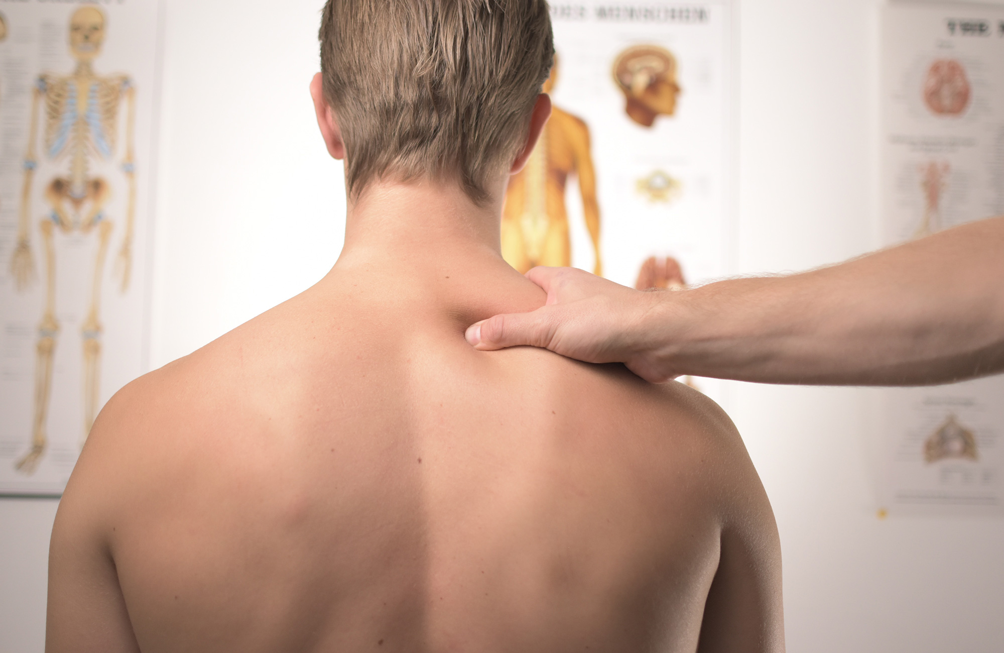 kiropraktor uddannelse i udlandet