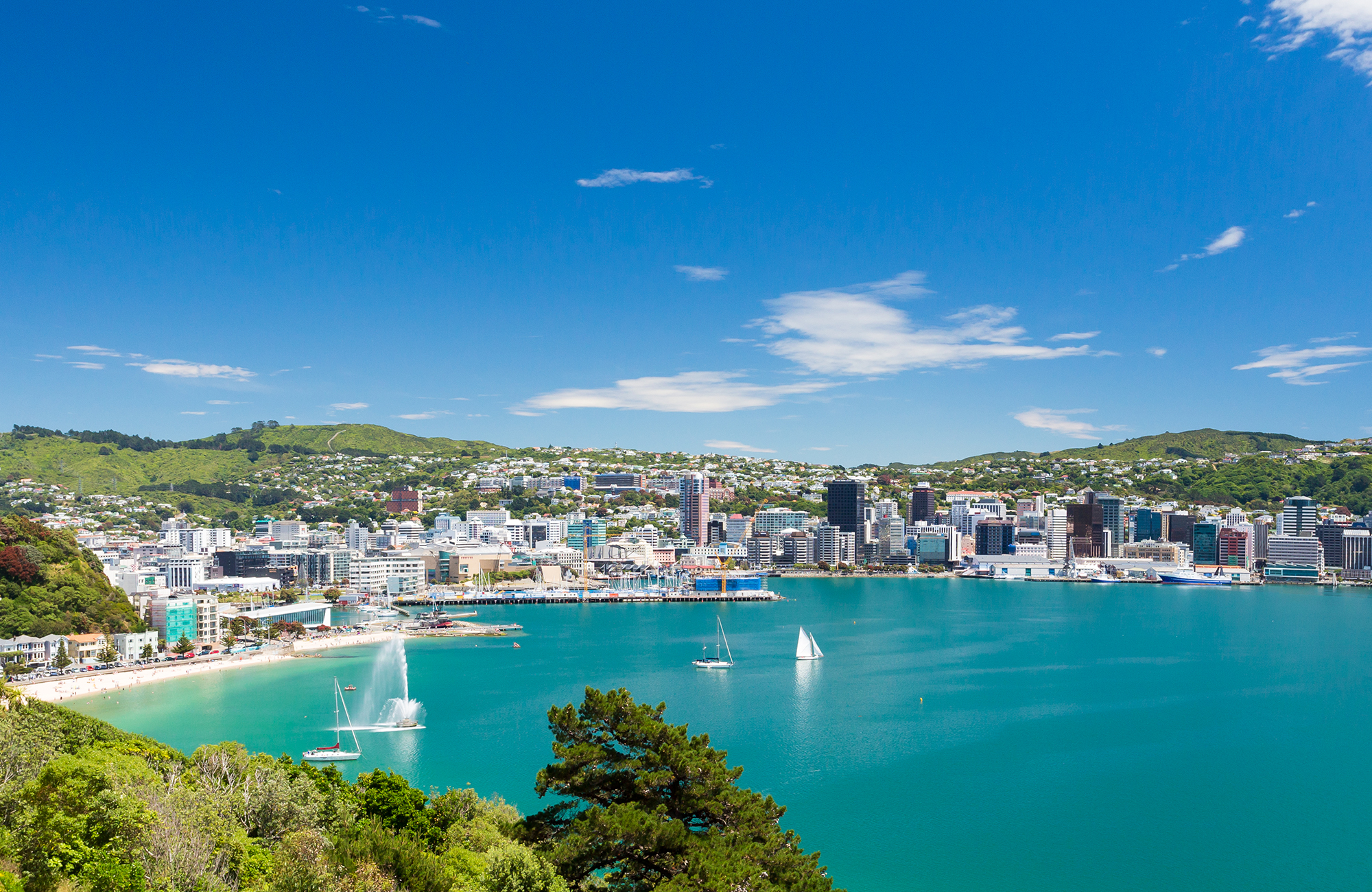 Wellington i New Zealand | KILROY