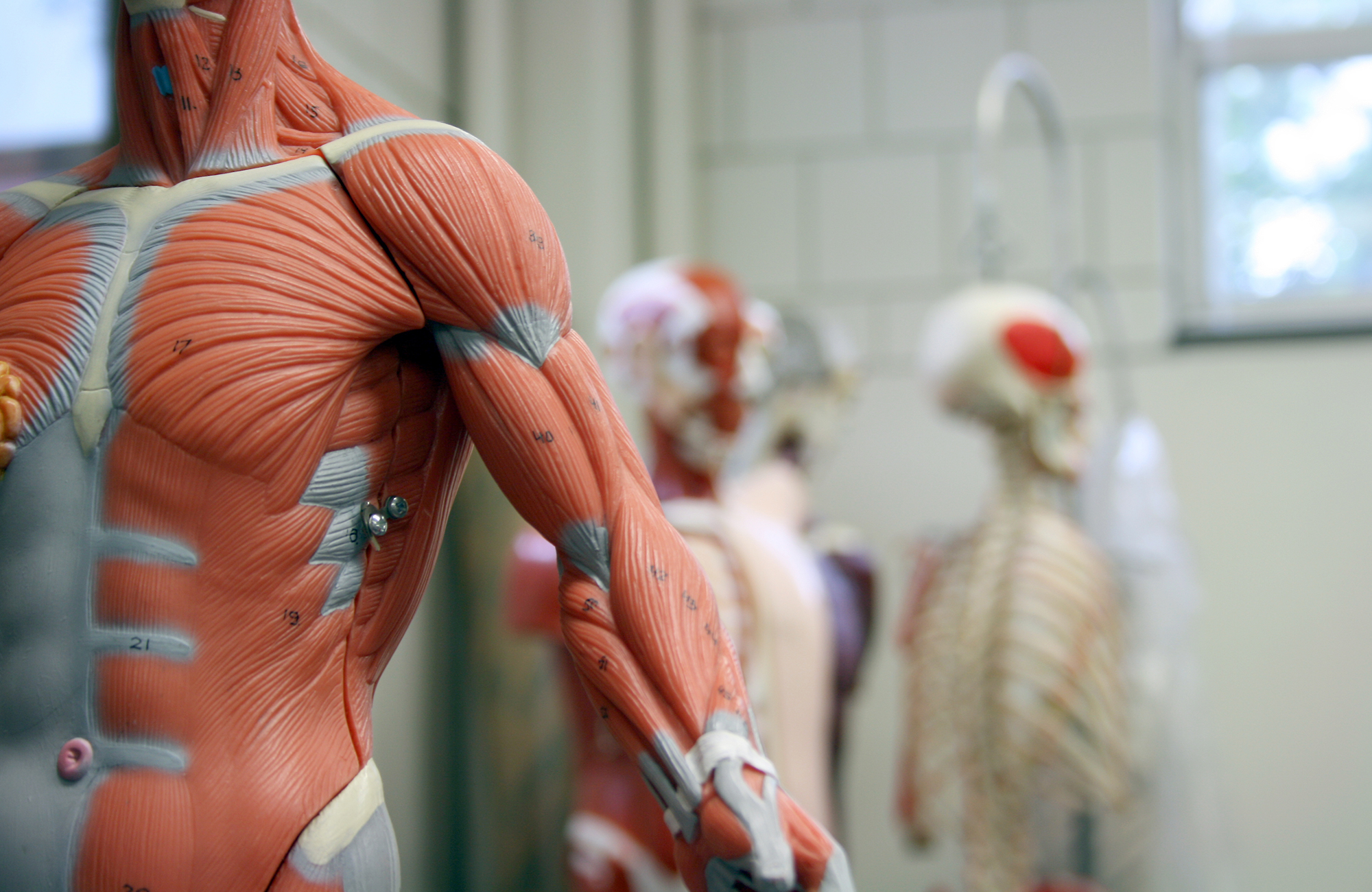 operationsstue for medicinstuderende i udlandet