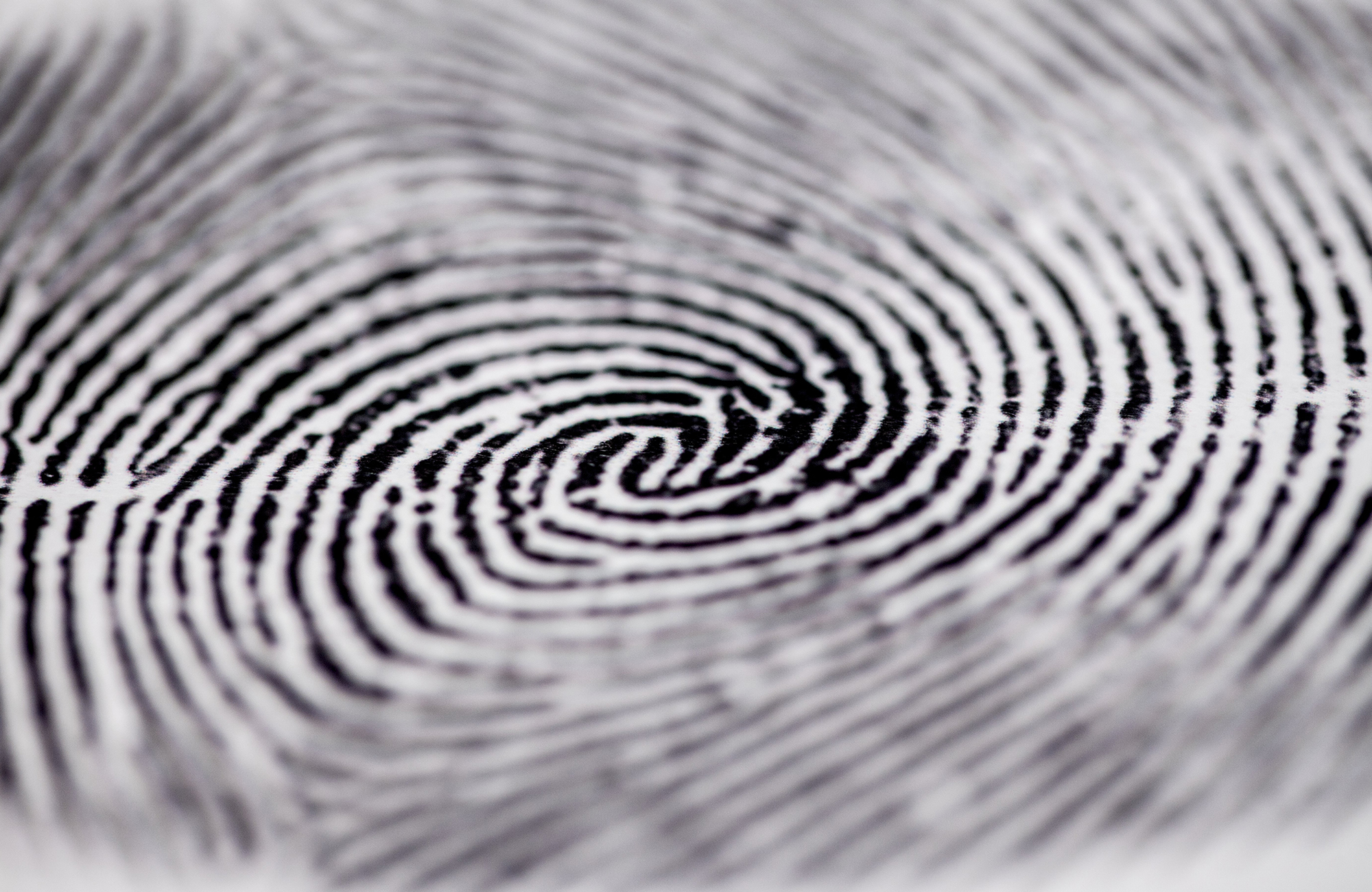 kriminologi uddannelse i udlandet