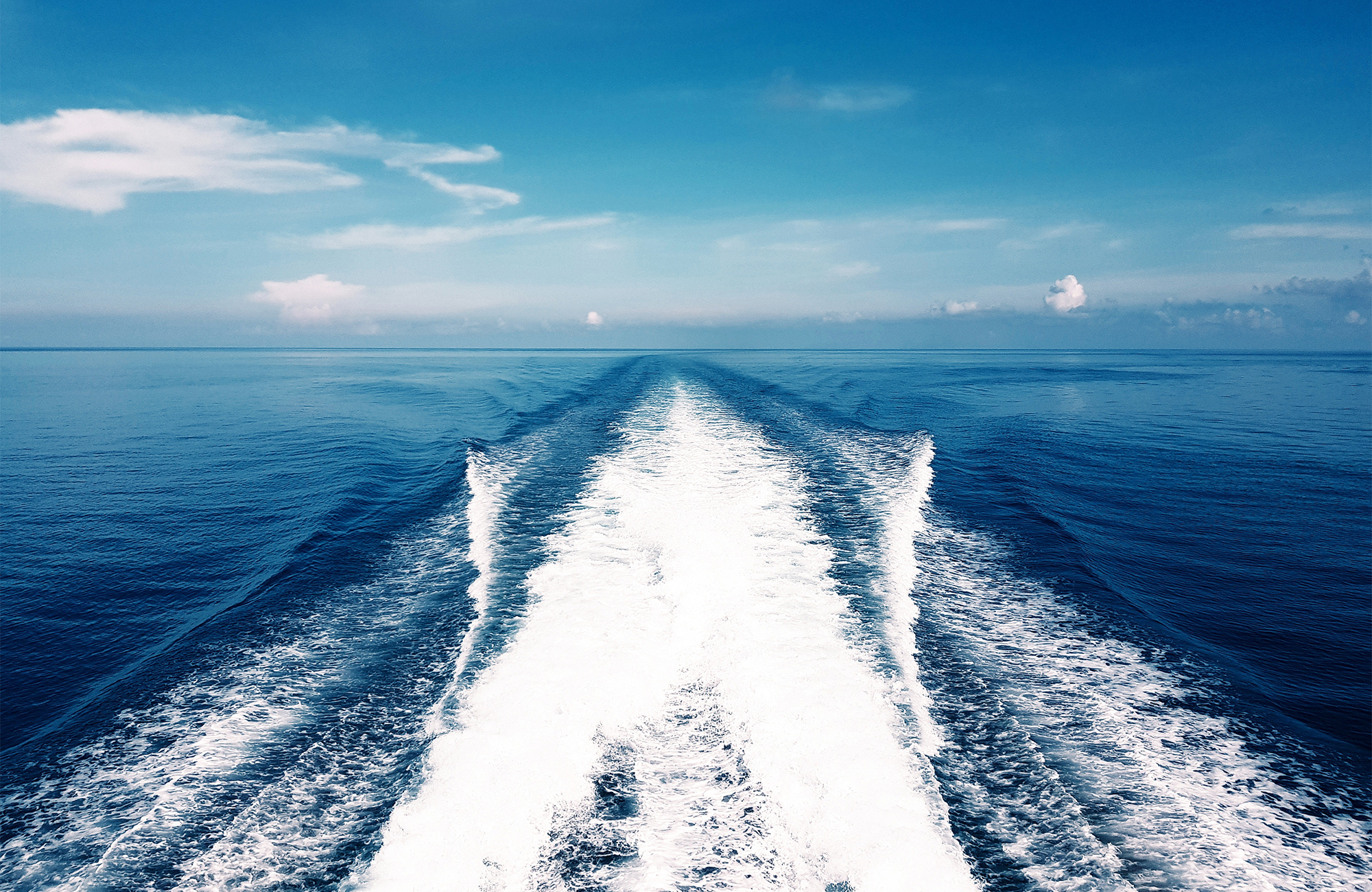 Dykning på Koh Tao i Thailand | KILROY