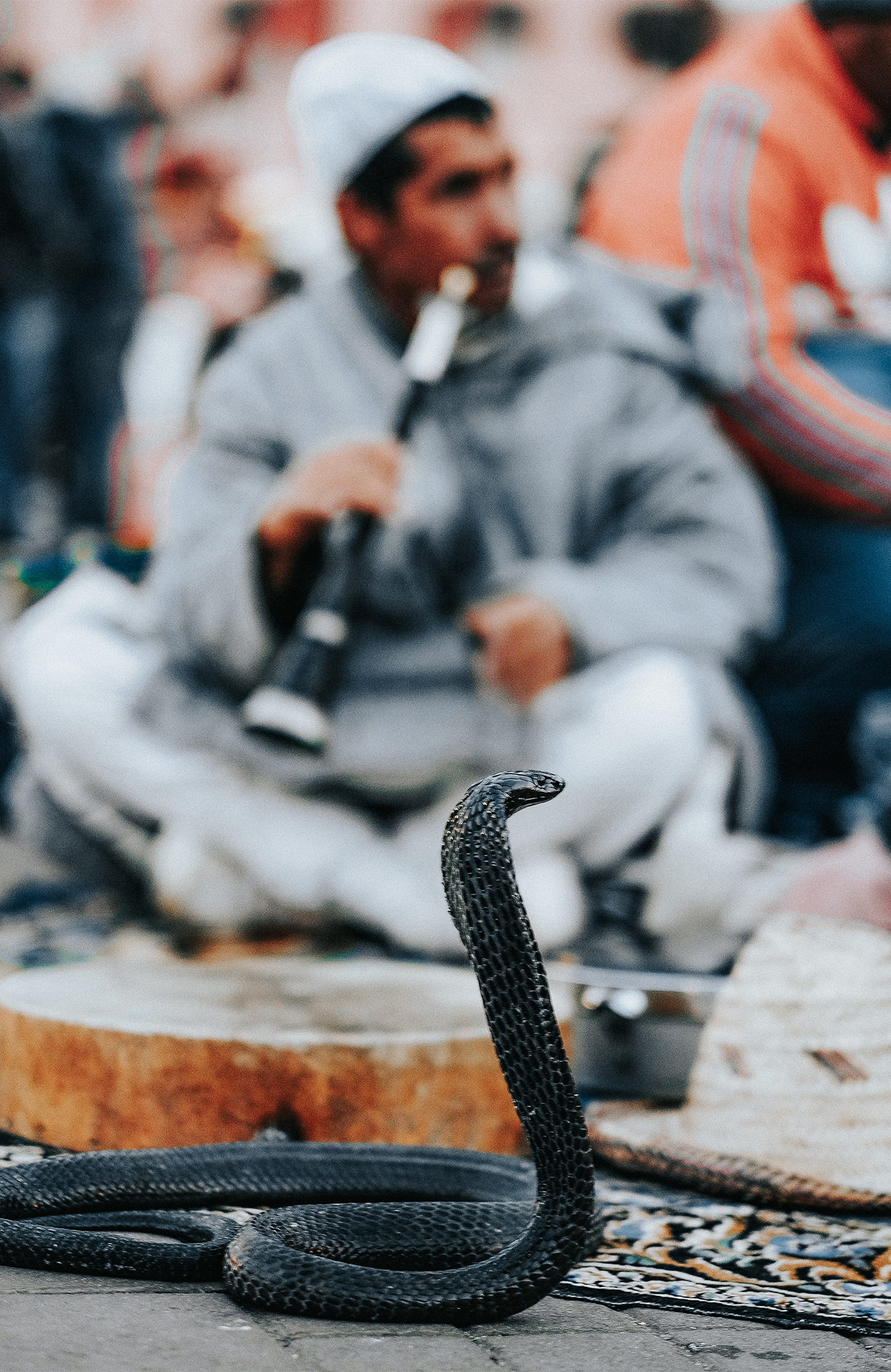 Rejser til Marrakech | Rejser til Marokko | KILROY