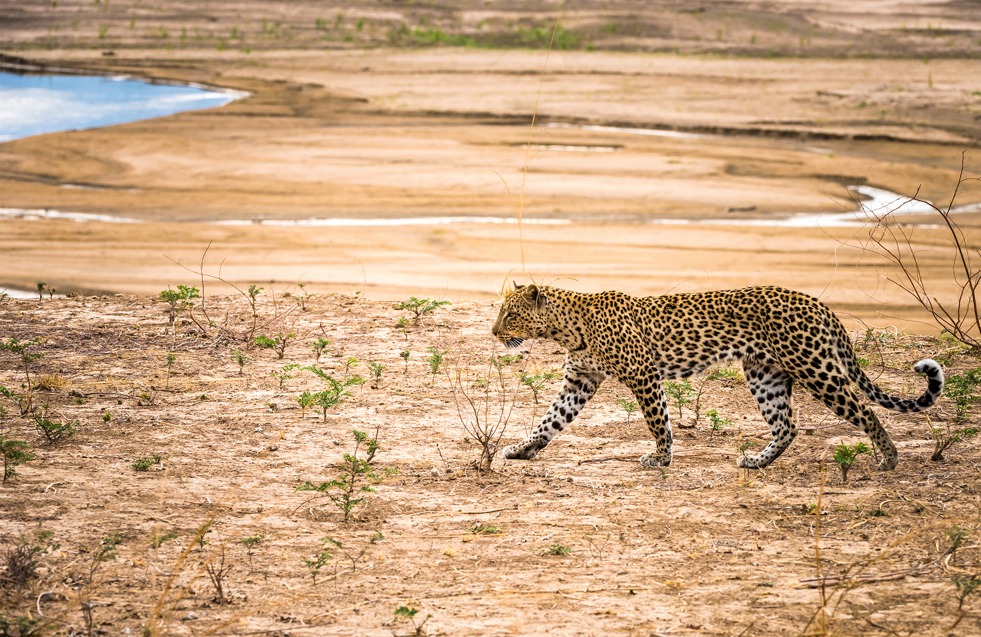 Rejser til Zambia | Backpacking i Zambia | KILROY