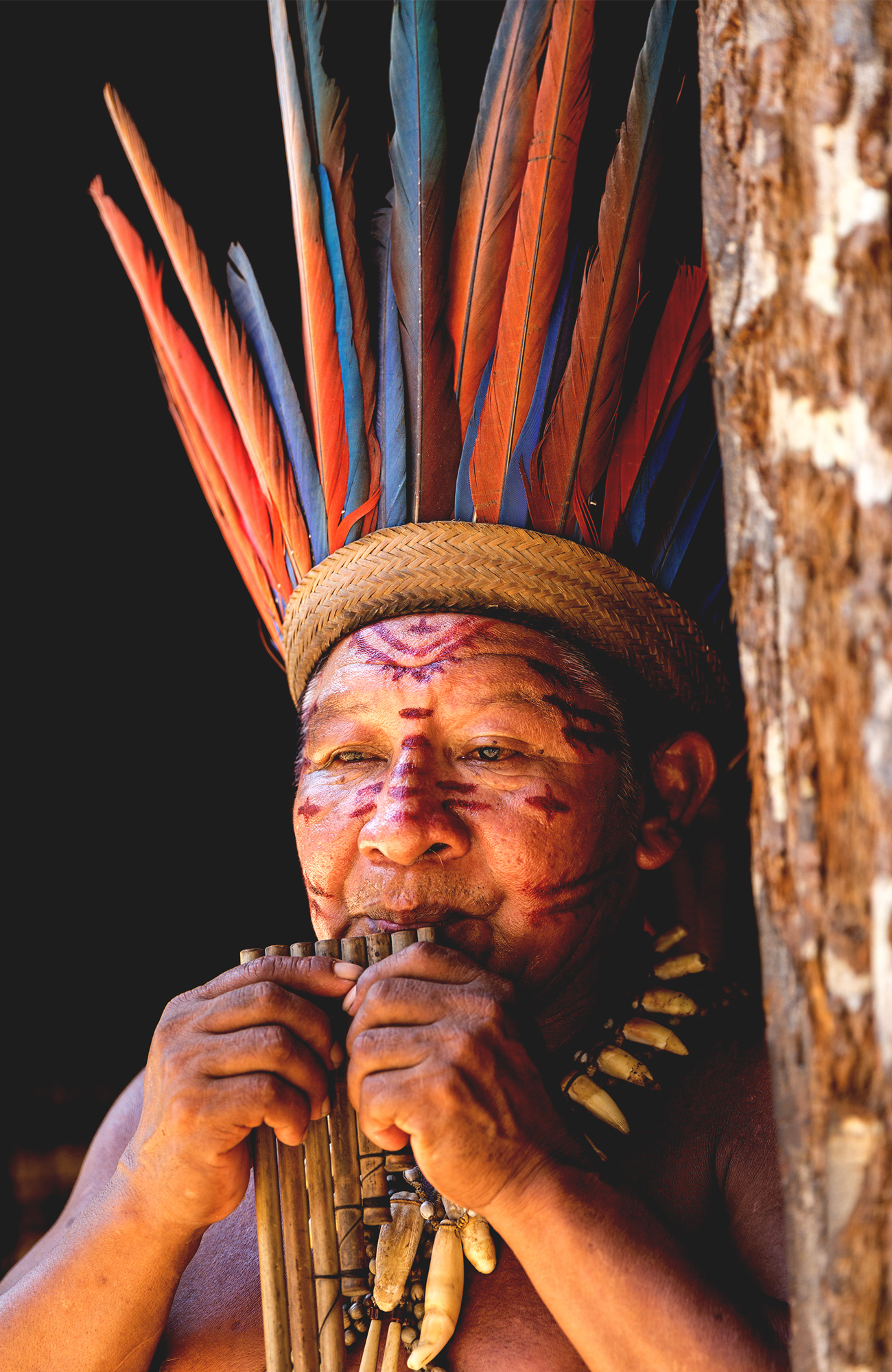 Rejser til Manaus | KILROY