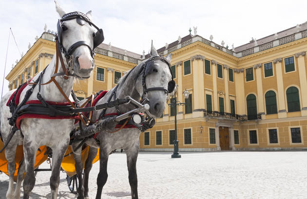 kør i hestevogn på jeres studietur til Wien