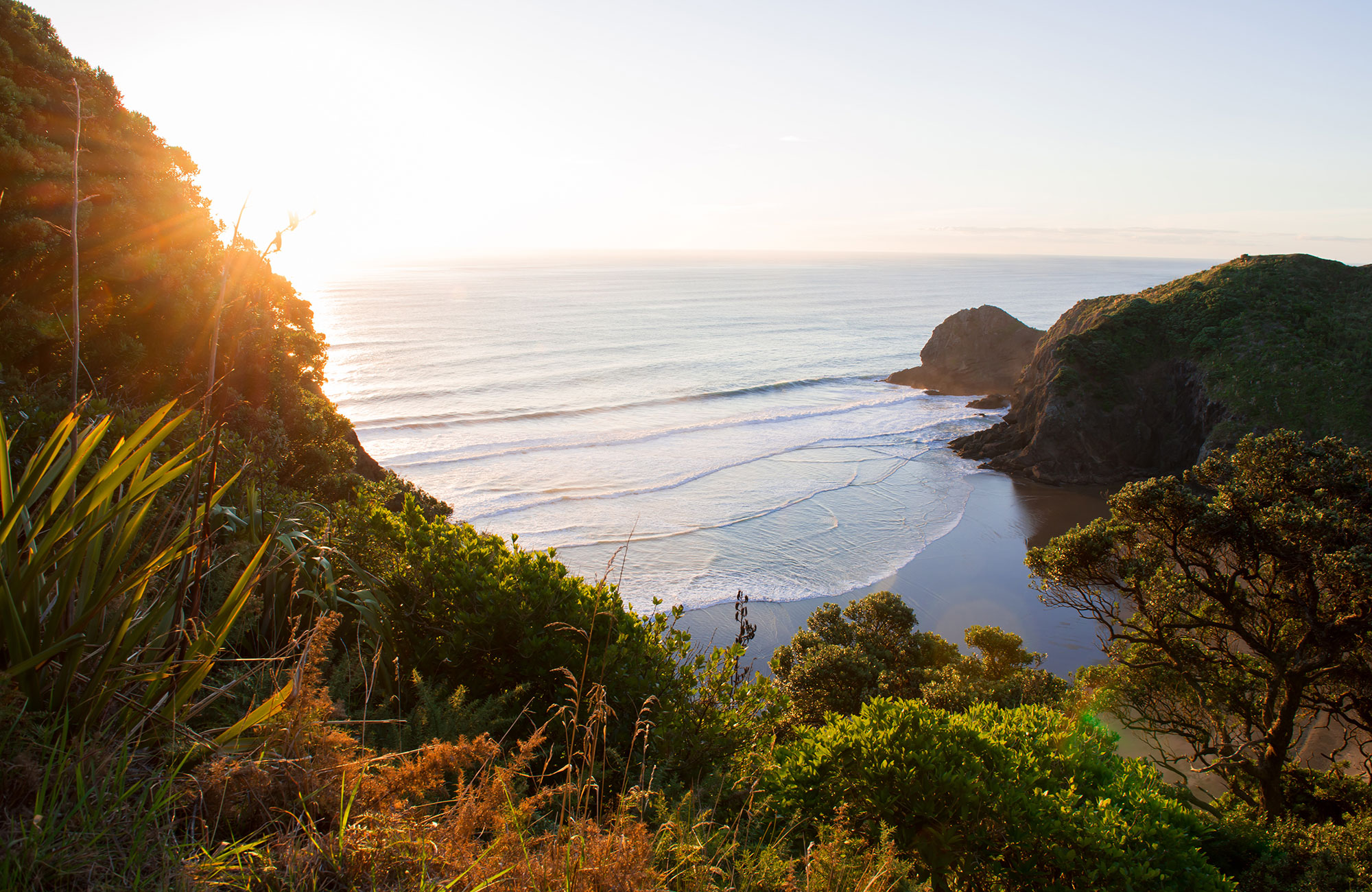 Rejser til Auckland | Backpacking i Auckland | KILROY