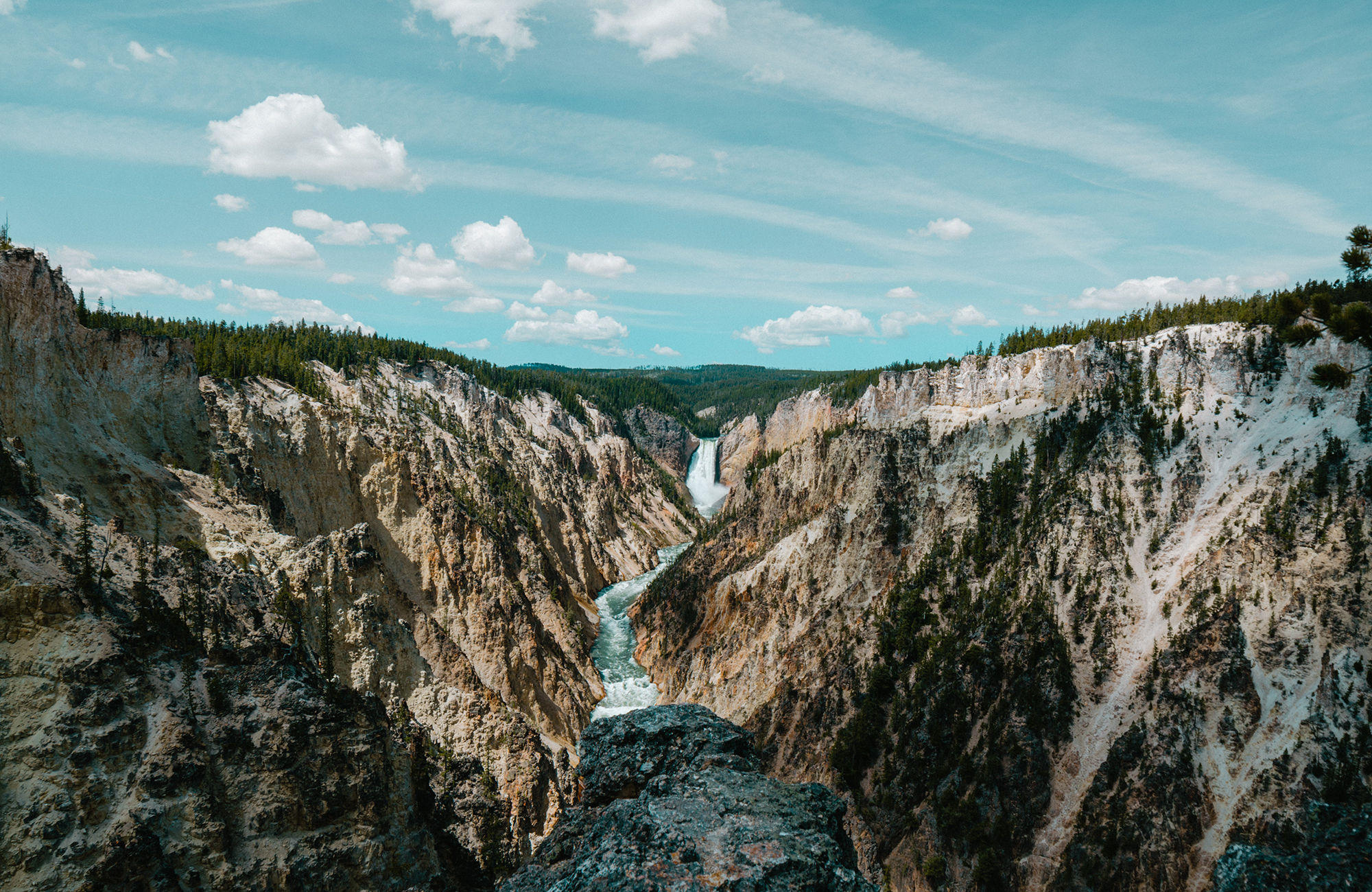 Rejser til Yellowstone National Park | Natur i USA | KILROY