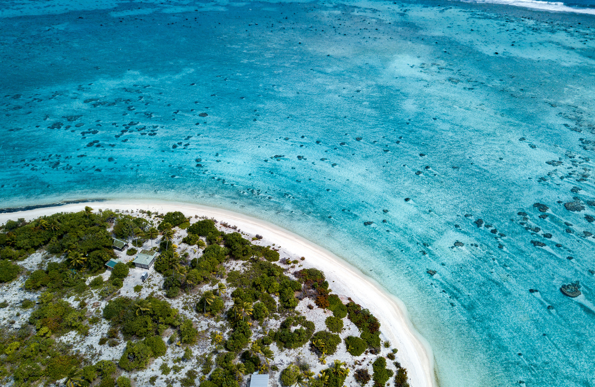 Rejser til Cook Islands | Backpacking i paradis | KILROY