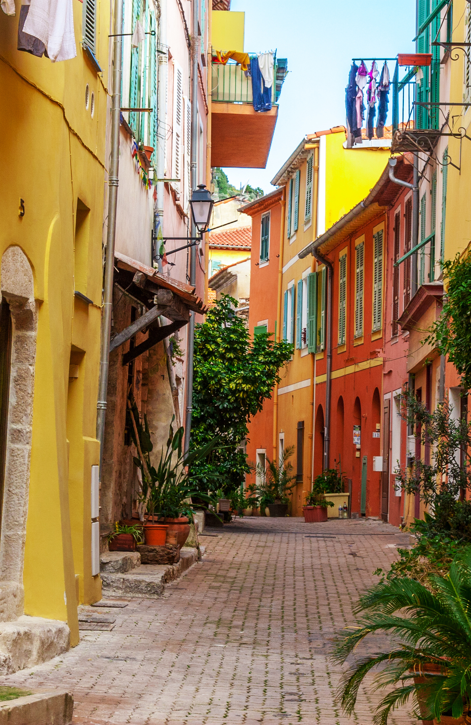 studere fransk i udlandet